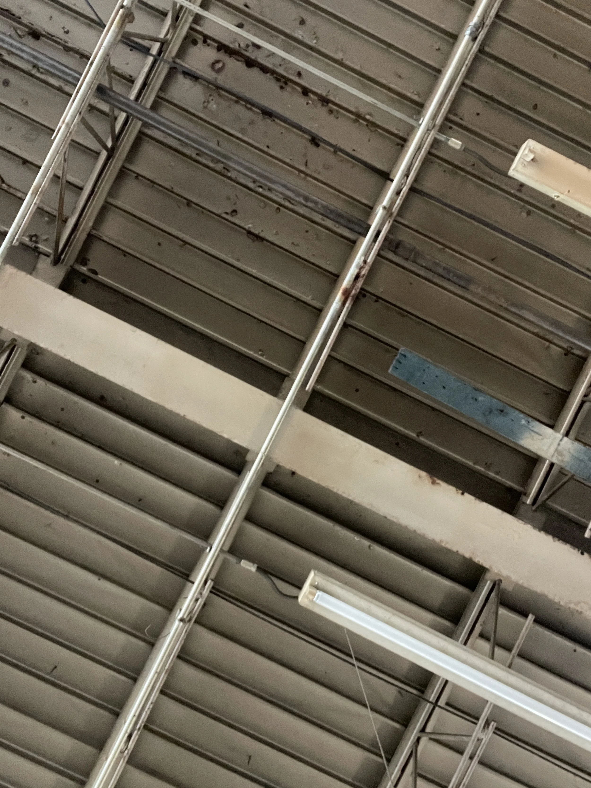 Ceiling of an industrial or warehouse space with exposed metal beams, a drain pipe, and a fluorescent light fixture.