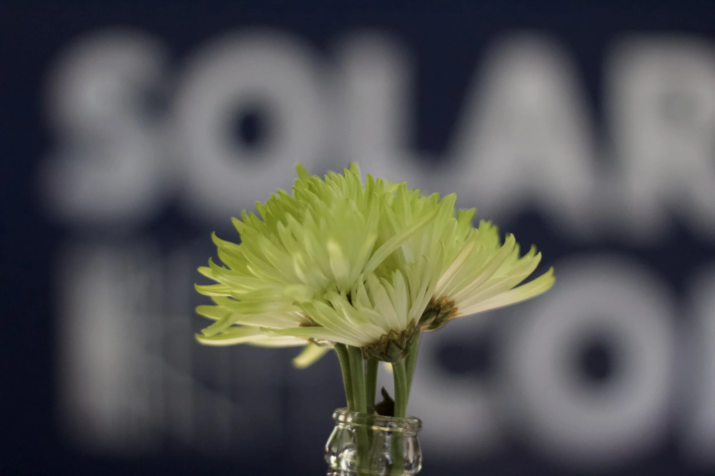 Flower in front of of solarium coffee cart at a wedding.
