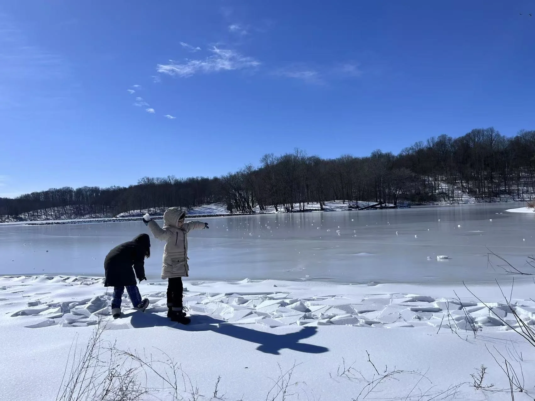 February Monthly Insight: Tax Planning VS. Filing