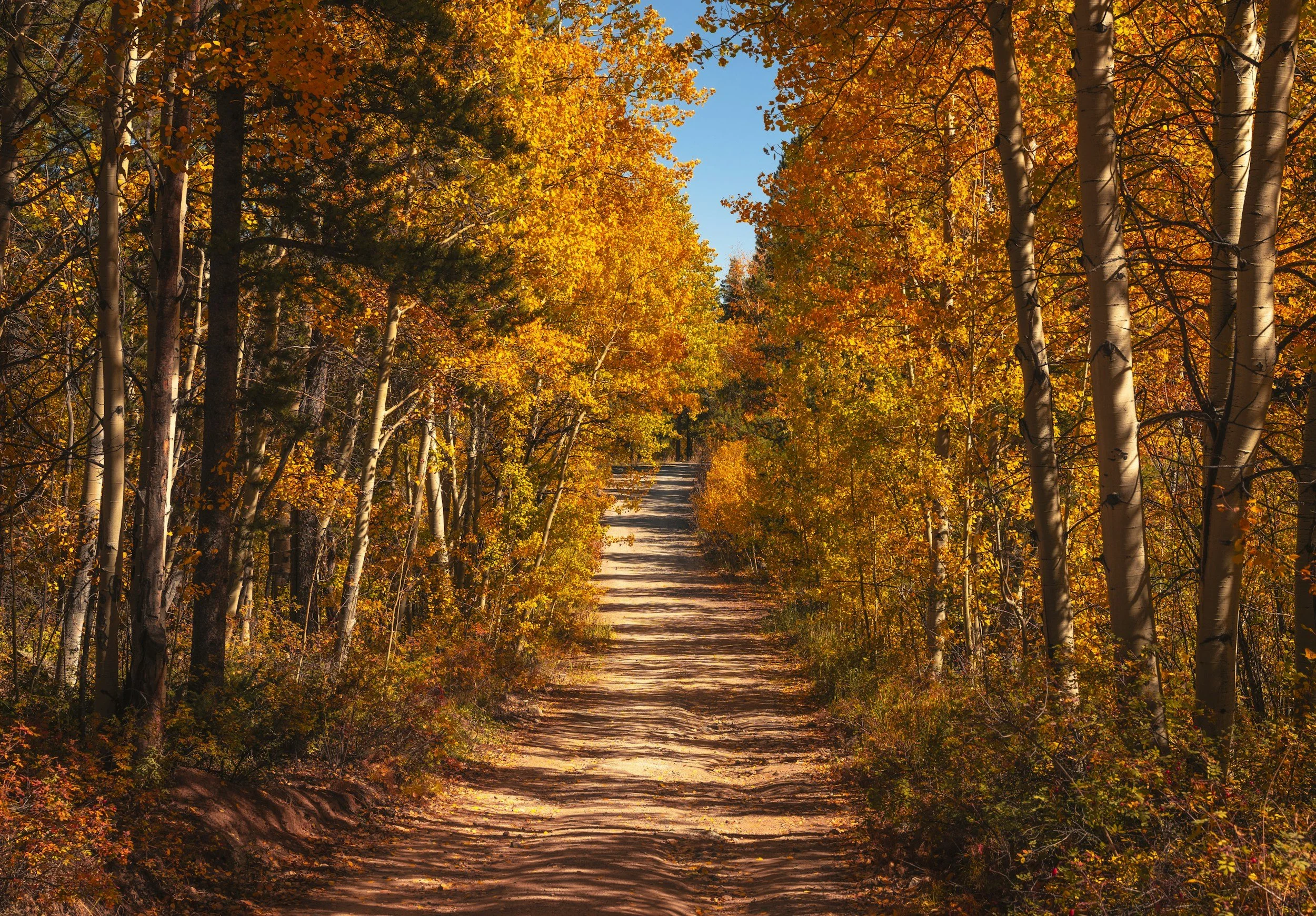 September Monthly Insights: Oil and the Fed, Estimated Taxes, and 3% TIPS Real Yields