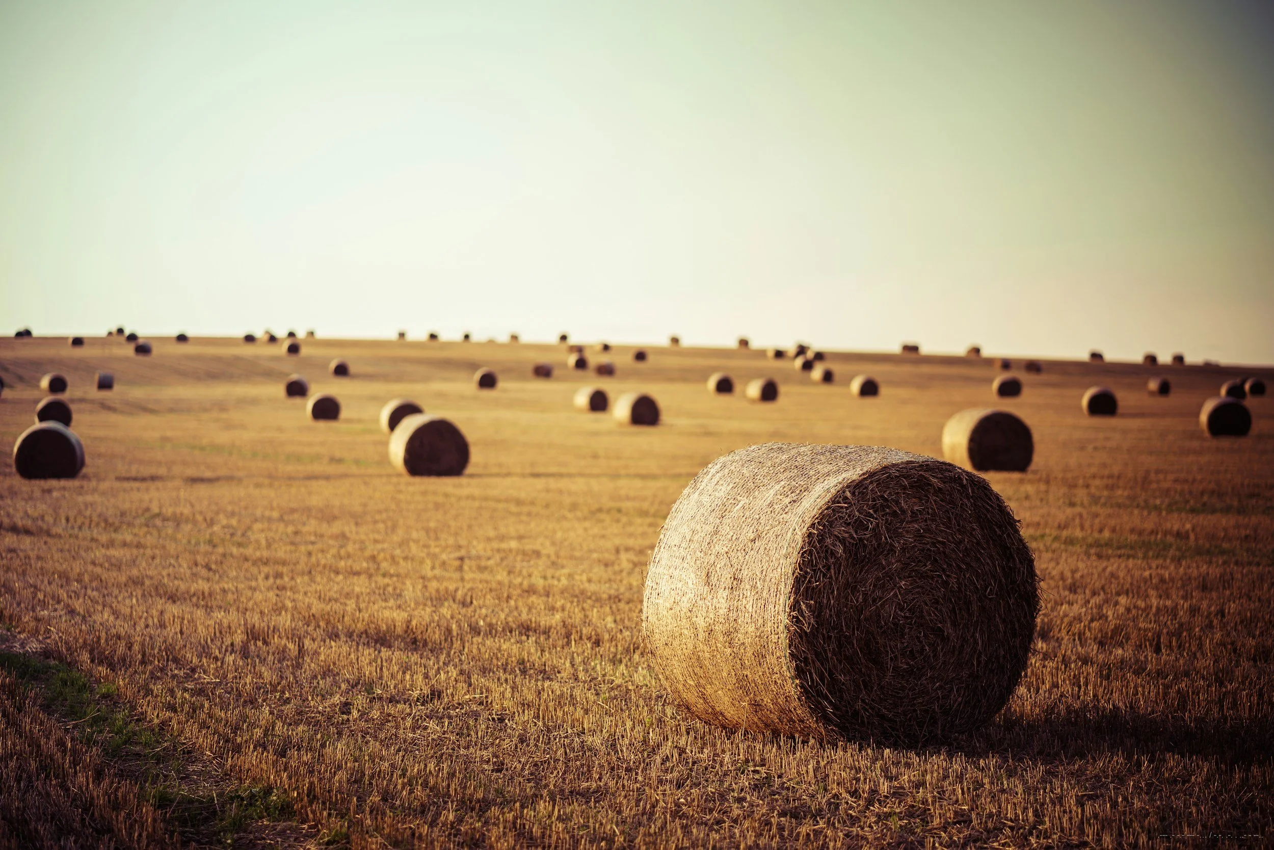WesTexas Hay Exchange