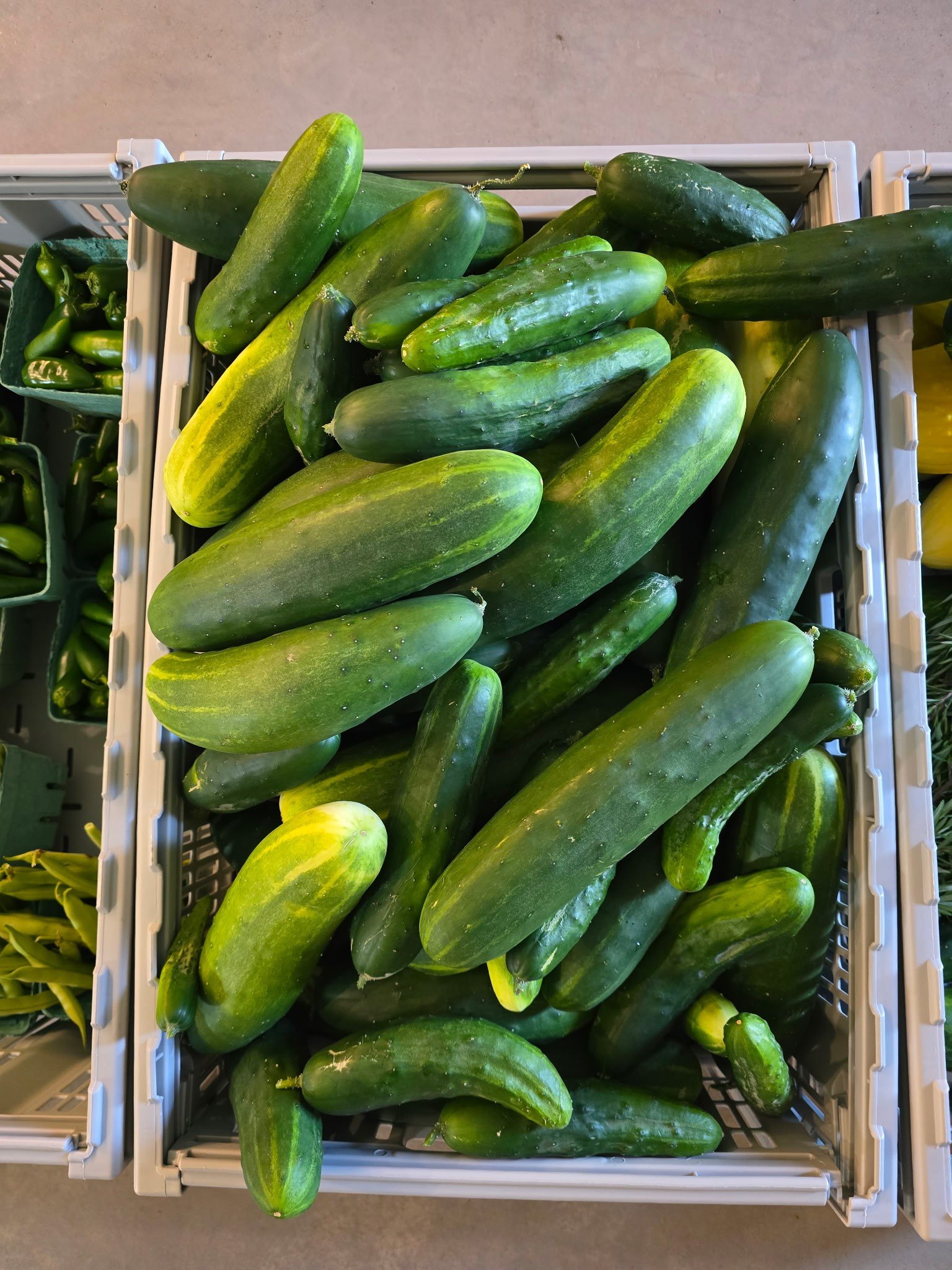 We will open at 5pm today, and we have a special "pay what you can" farmers market here today. These are from Dustin and Hope Hungry Chicken Farm. Everything was harvested today, and is all organic! All proceeds from this will be used for o