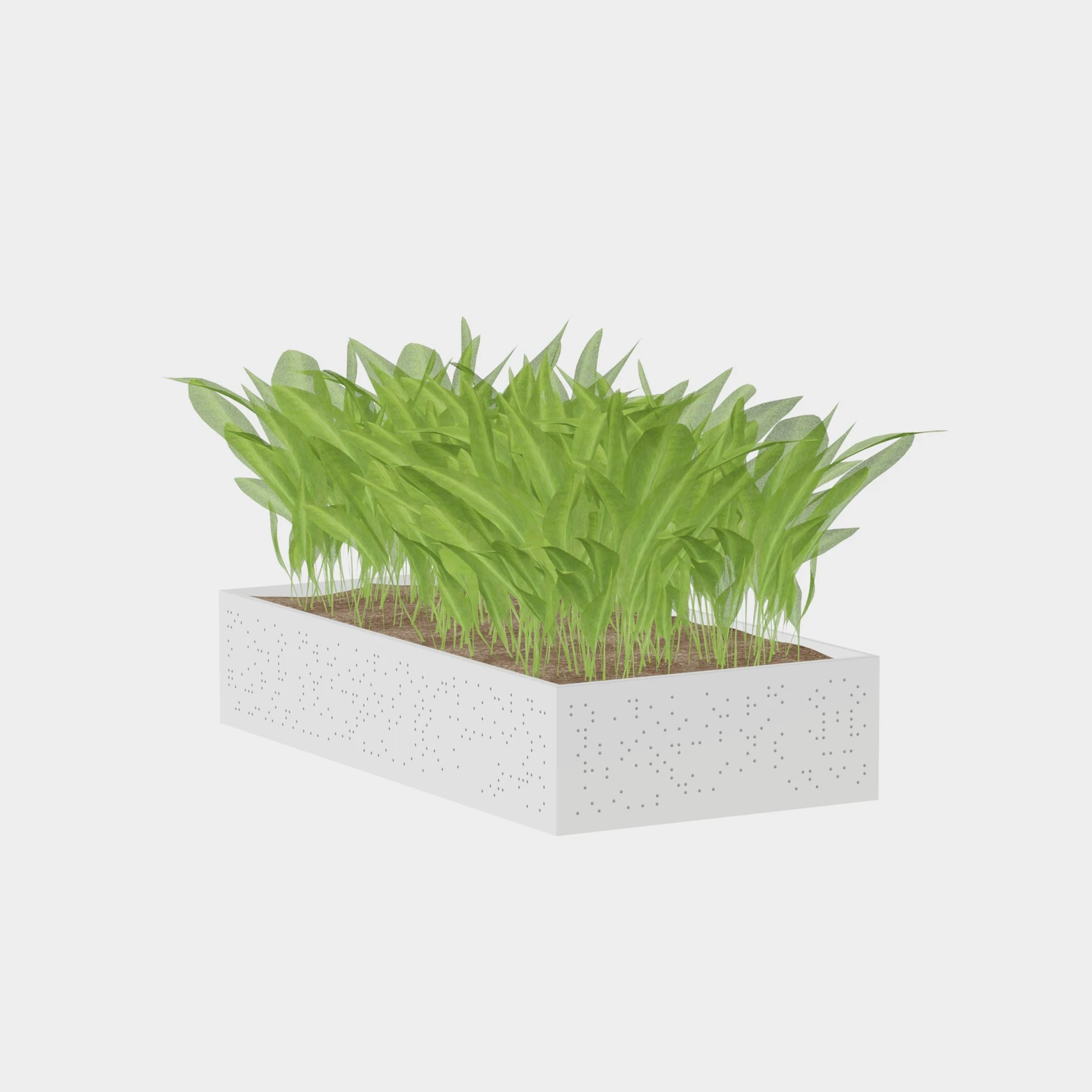 tamb1.png