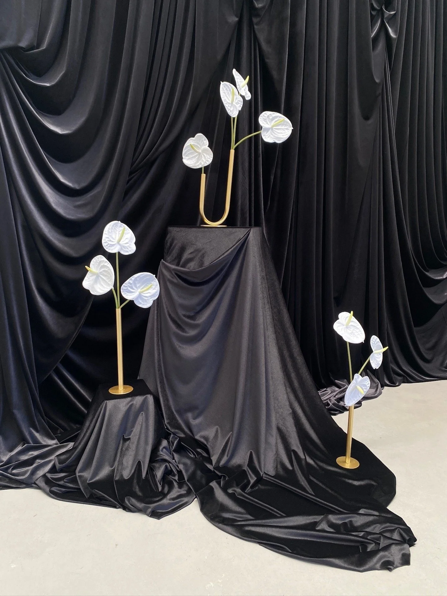 Black velvet drapery backdrop obsession. 🖤🤍

Perfect styled with gold bud vases and anthurium flowers.

You can explore more of our drapery options on the drapery page of our website!