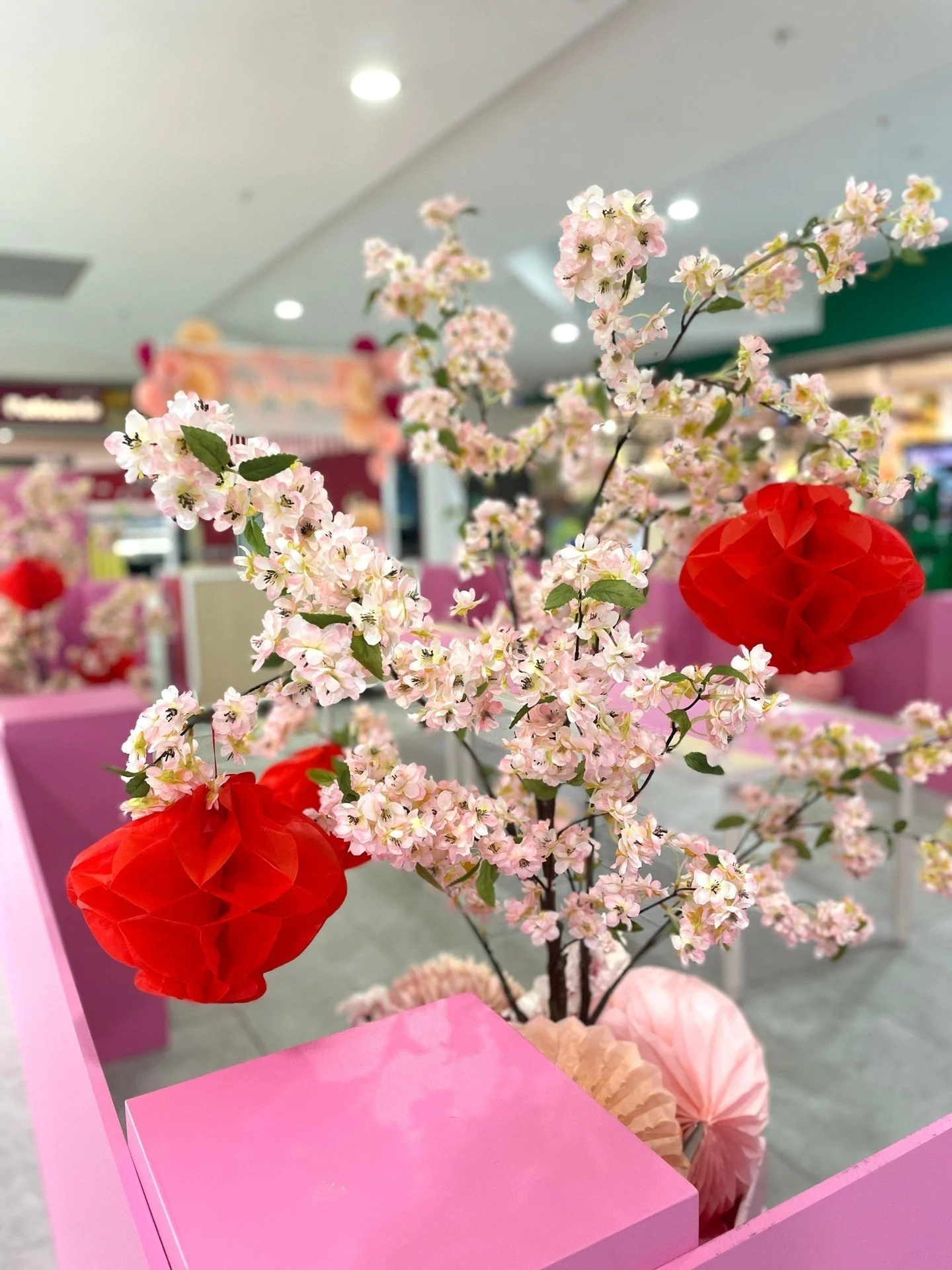 Some more sweet details of the Lunar New Year activation @altoneparkshoppingcentre 

Design, build &amp; styling by us
Strategy &amp; Marketing @tallteaspoon
Print @cresults_