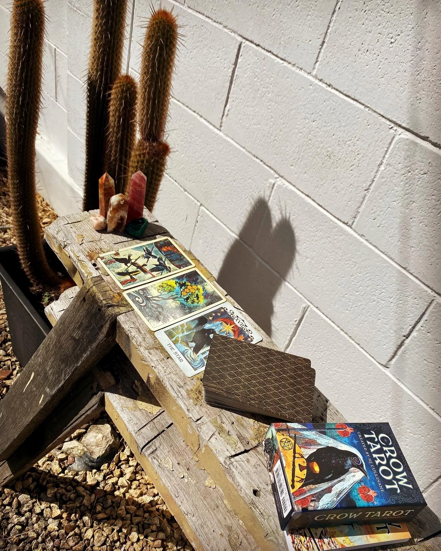 Online Tarot Reading - 60 minutes 🕯️