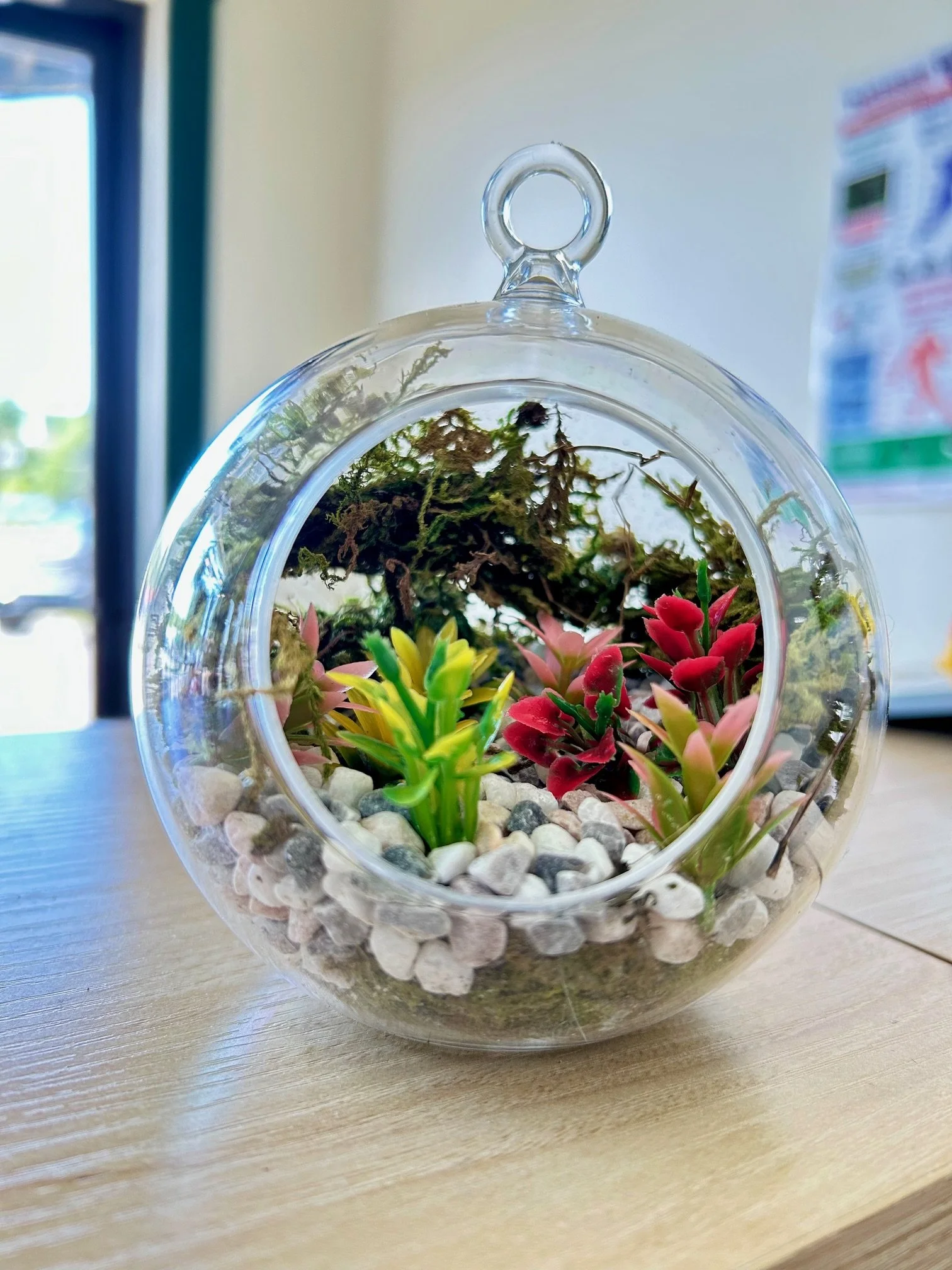 Terrarium Creation Workshop