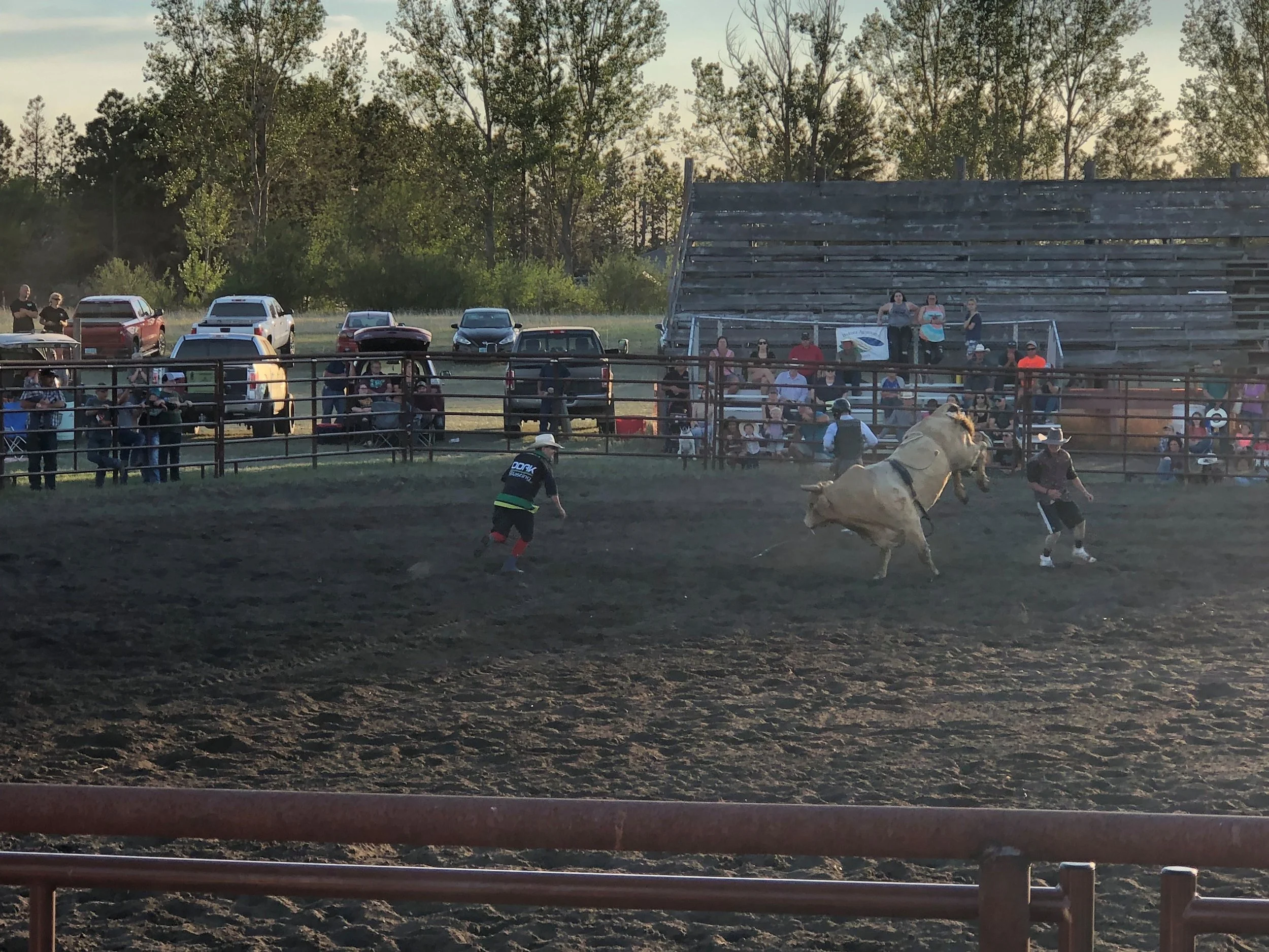 old bleachers 2021.jpg