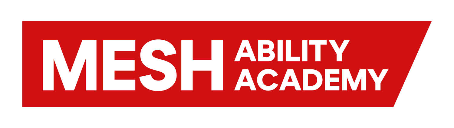 Mesh Ability Academy