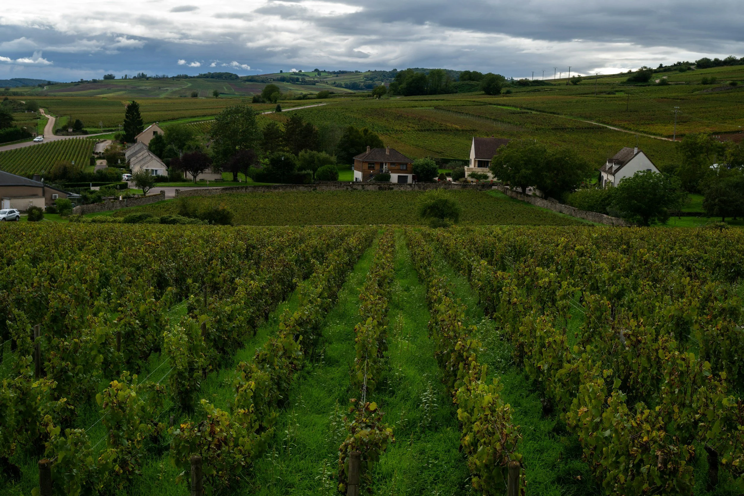 Demystifying Burgundy