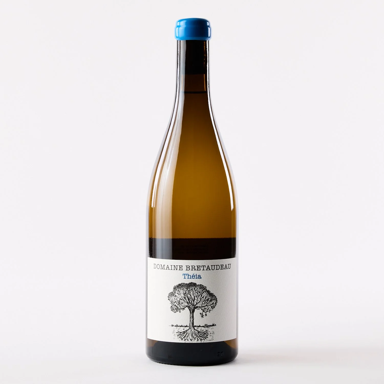 Domaine Bretaudeau, Muscadet Sevre-et-Maine Théia, Loire Valley, 2023