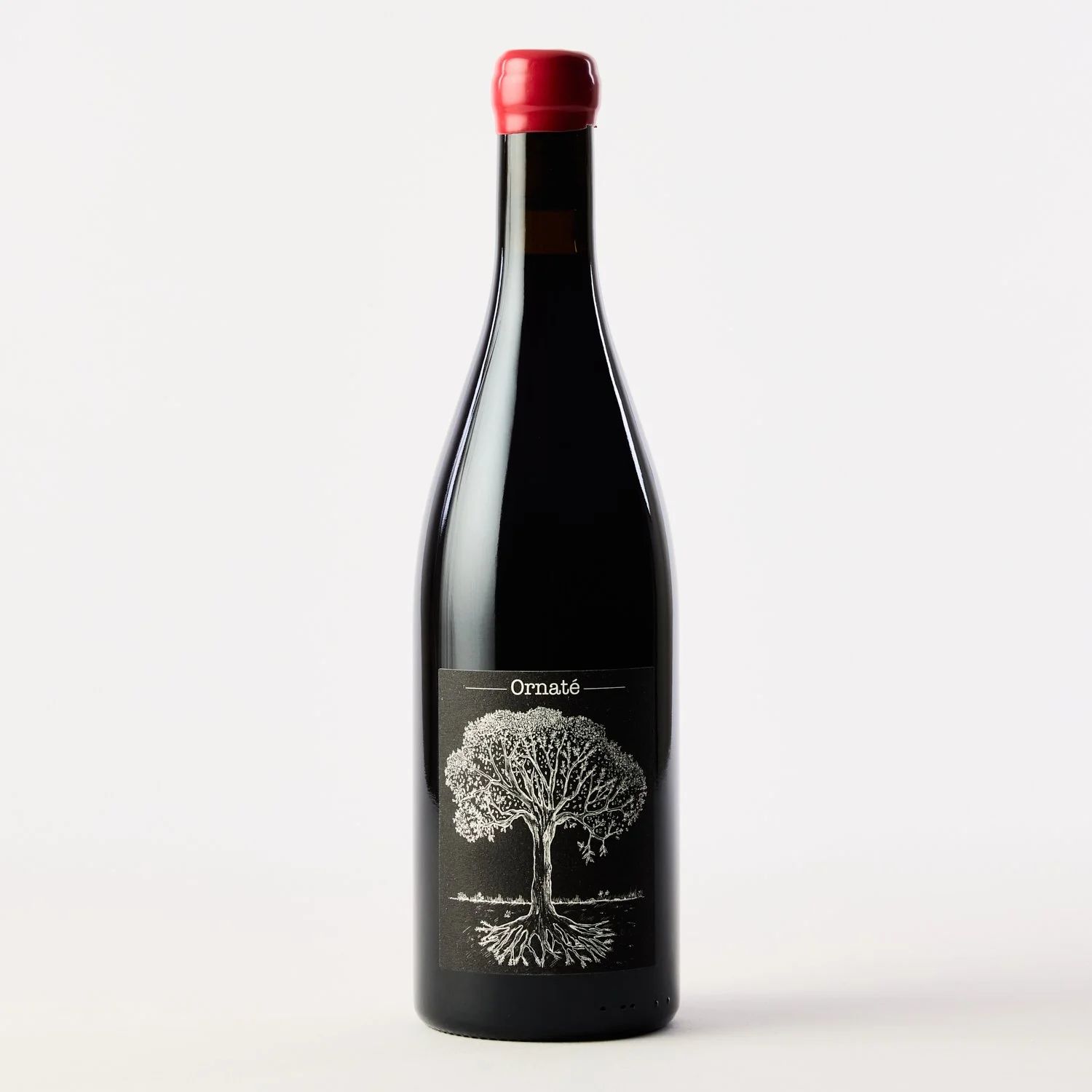 domaine-bretaudeau-merlot-ornate-loire-valley-france-2022.jpg