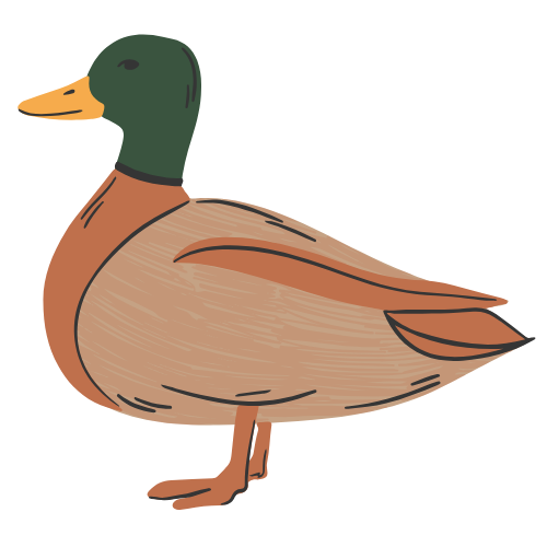 Copy of Untitled Design_20250412_001737_0000.png