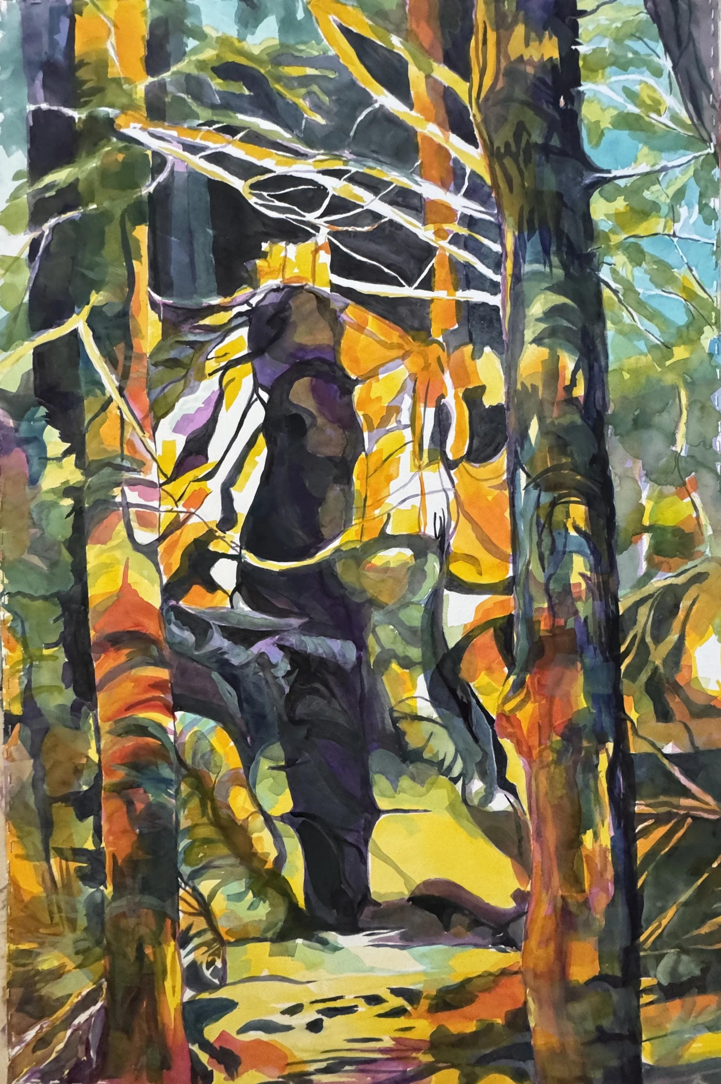 Land, Places and Colour