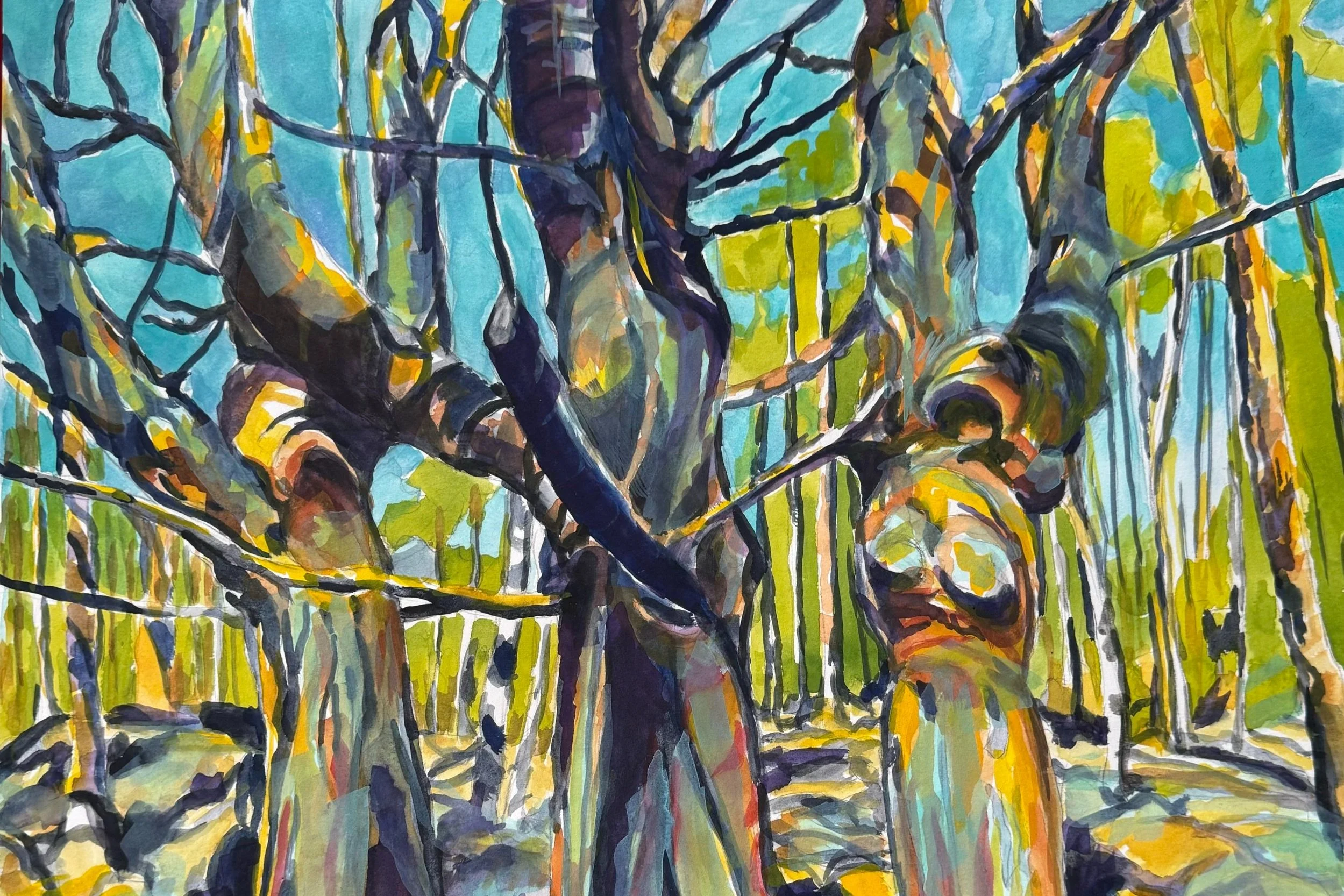 Detail -These northern red oak trees saved me when I was lost and disoriented in the woods. The title connects to the female caryatids columns of the Acropolis. These stunning old growth trees reflect the strength, resilience and support that the an