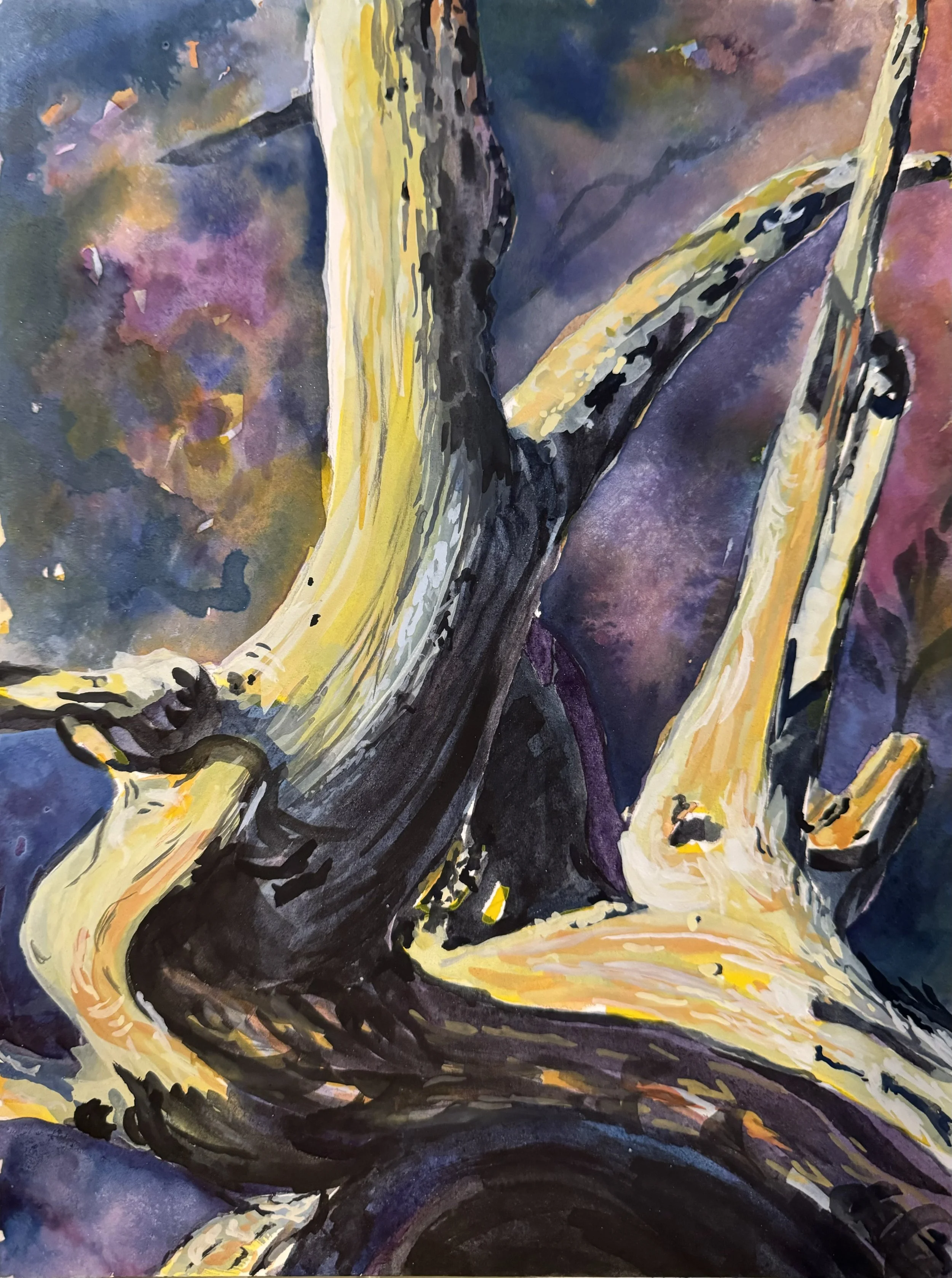 Drifting through
15 x 18 inches. 2024
Watercolour/gouache on Arches hot press 140lb paper.
$200 Framed/Matte/Natural