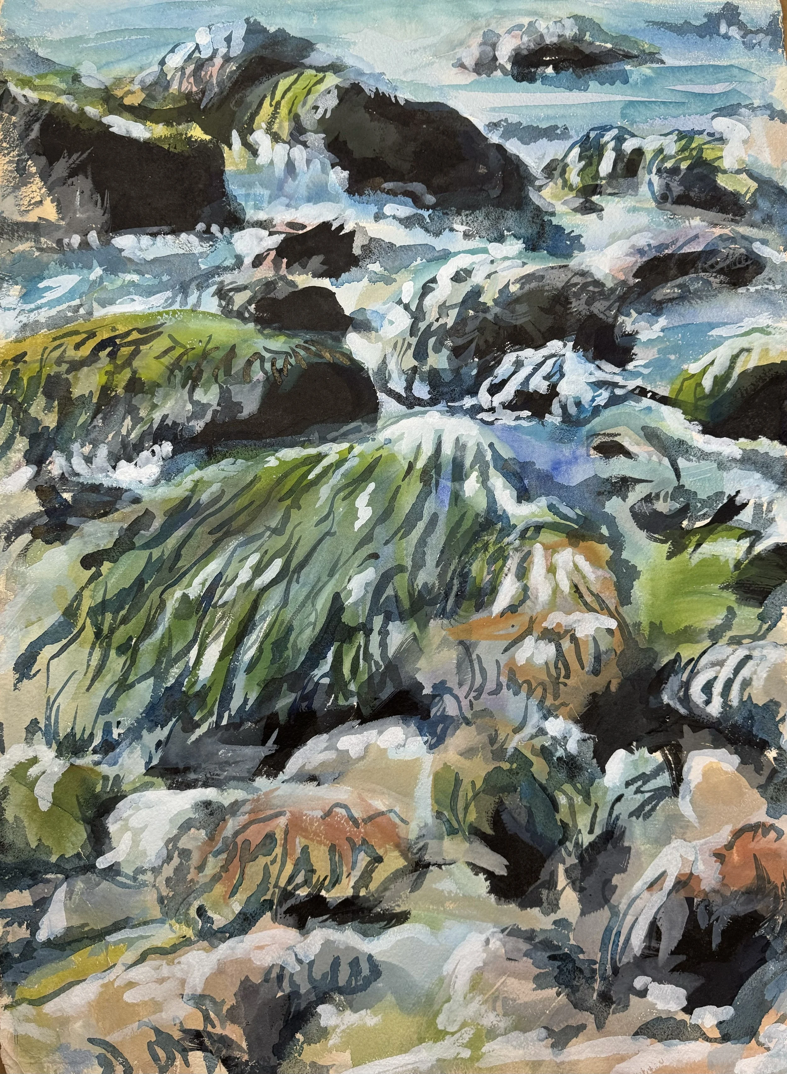 Algae and lake stones
Northern Shore of Lake Ontario
Watercolour, gouache and ink on Handmade paper 2024
24 X 36 inches
$750 Framed/Matte/White