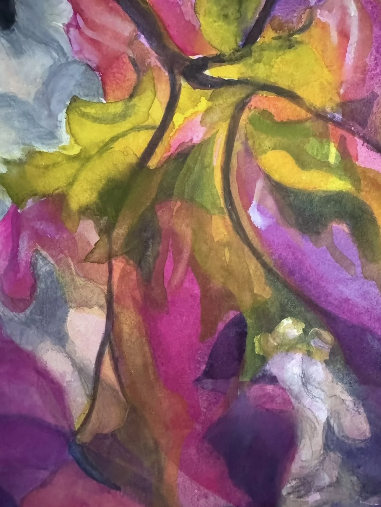 Detail, Three Graces through Bougainville, 2025
Watercolour/Gouache on handmade 300lb rag paper.

the greenhouse was fill of the Bougainville Flower sometime referred to as the paper flower it was named after a French explorer. The texture and colour