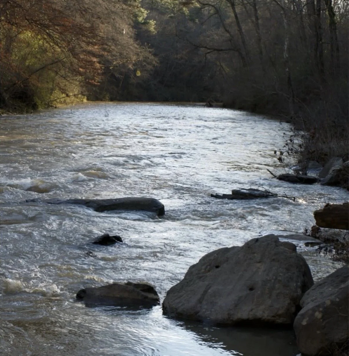 Making Water Knowable: Museums and the Production of Environmental Knowledge in America