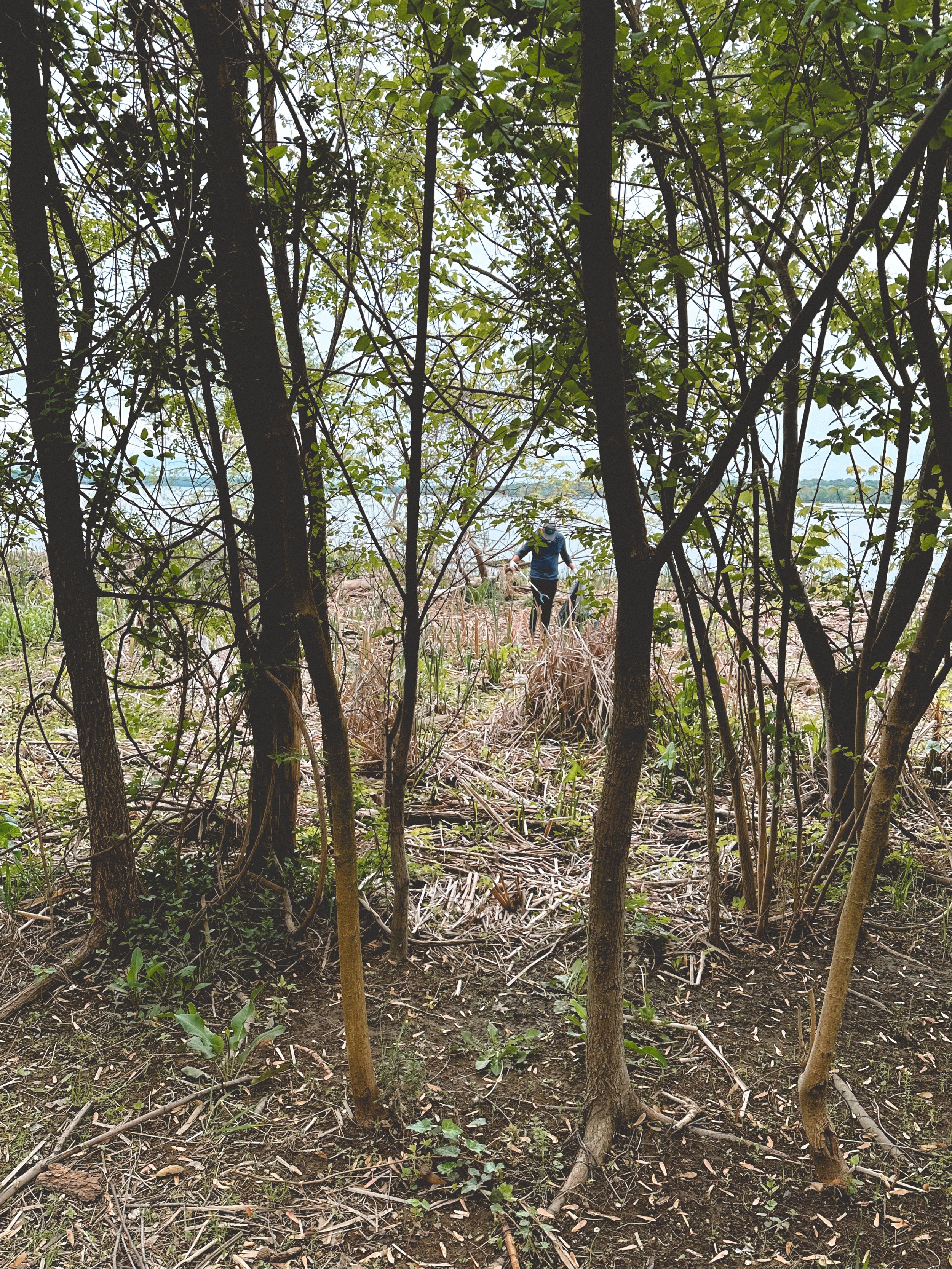 IMG_8028.jpeg
