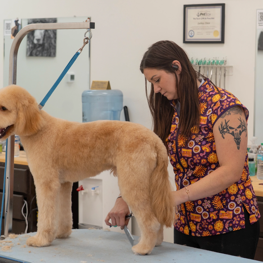 Screenshot 2025-12-17 040827.png