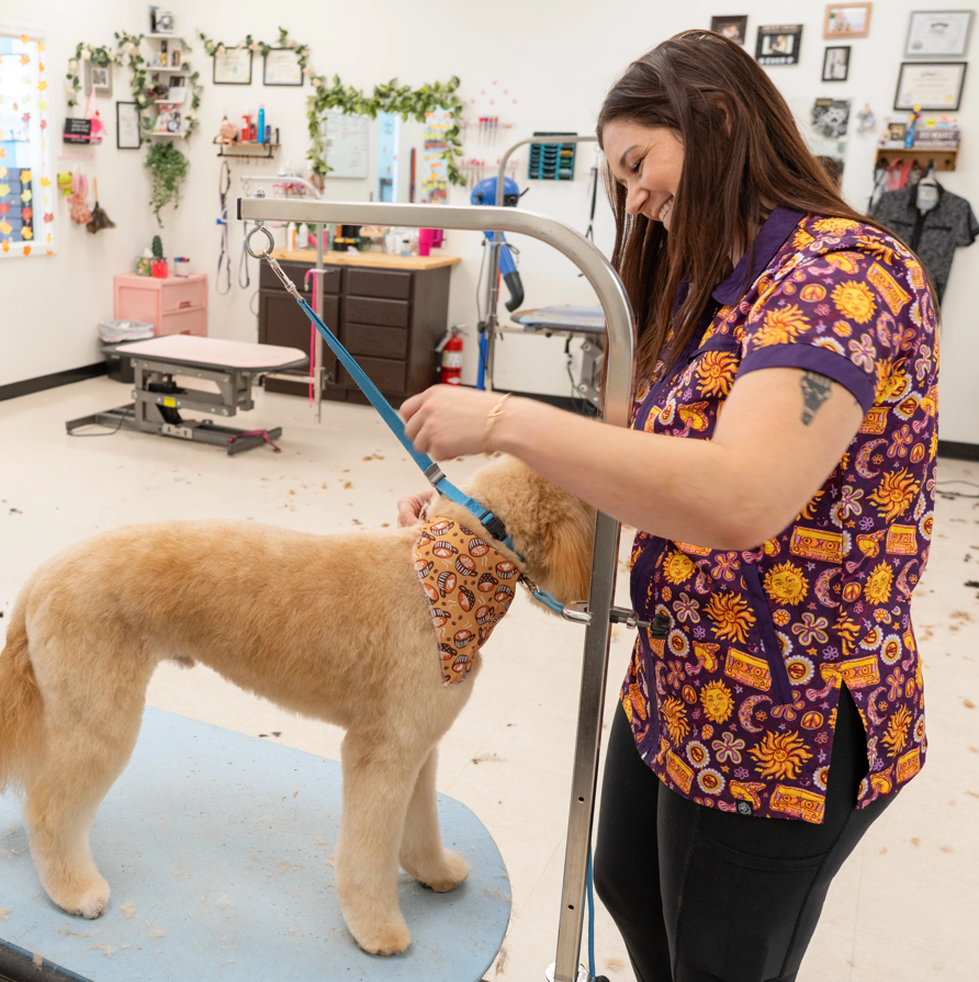 Screenshot 2025-12-17 040659.png