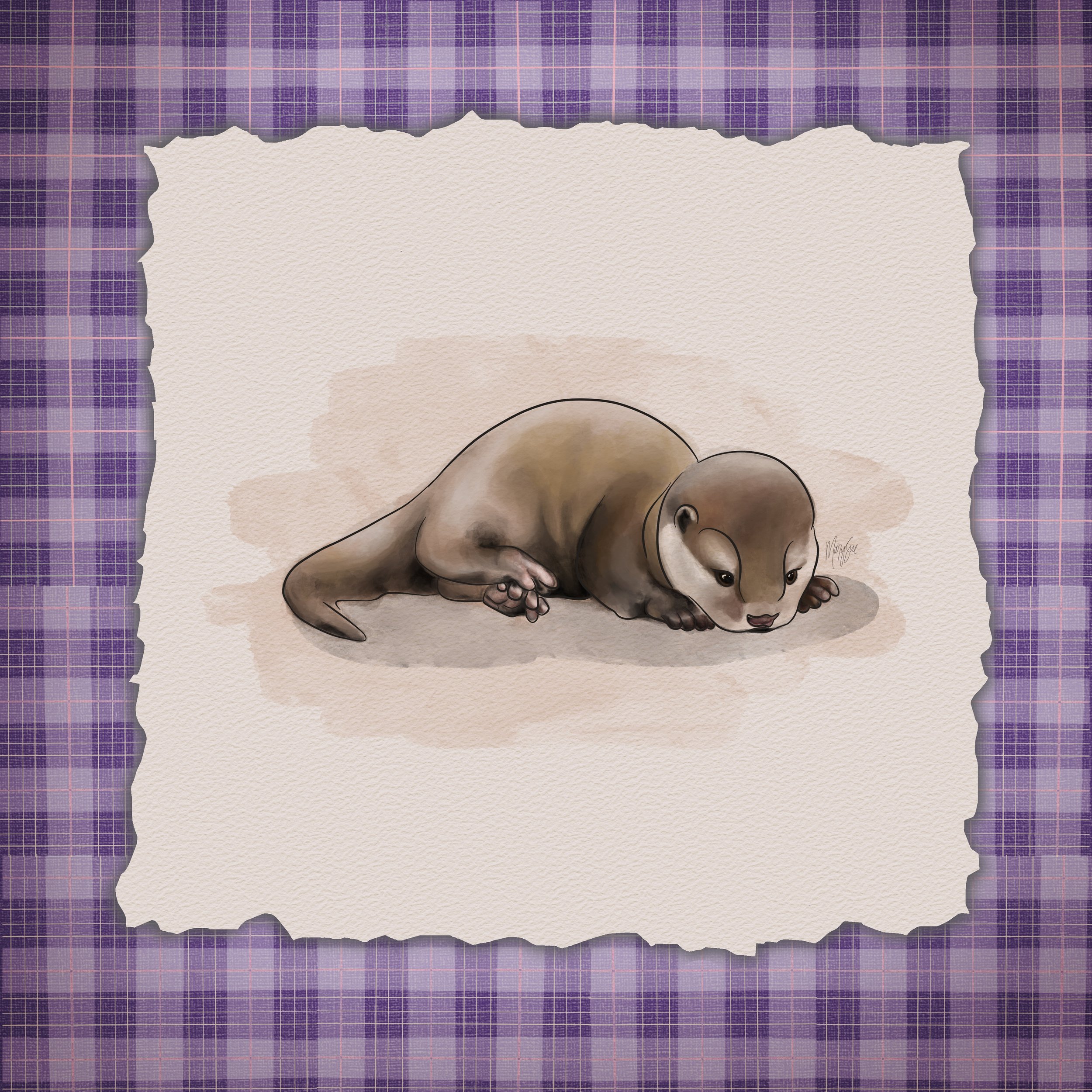 Otter.jpg