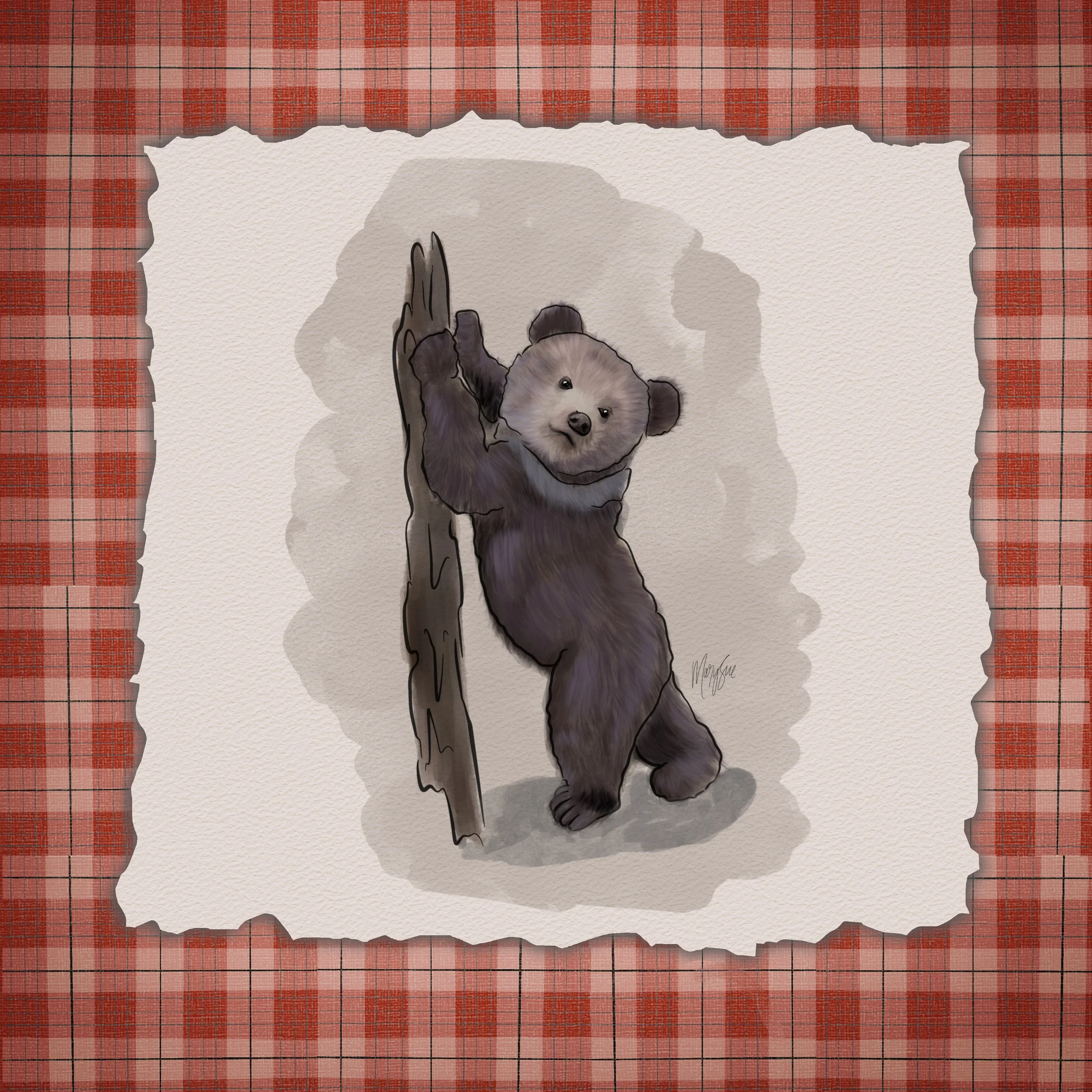 Bear.jpg