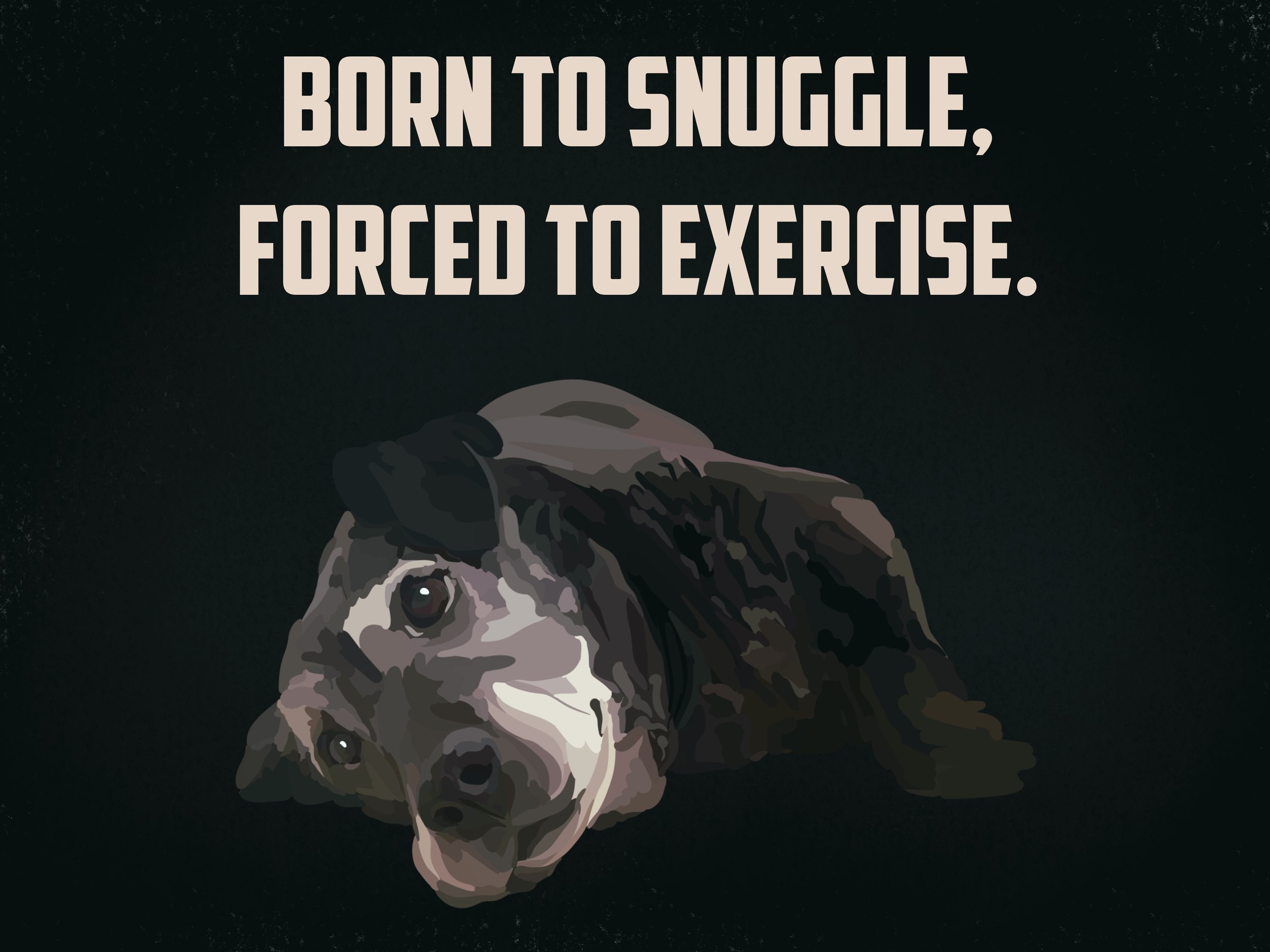 Snuggles and Exercise - Dog print