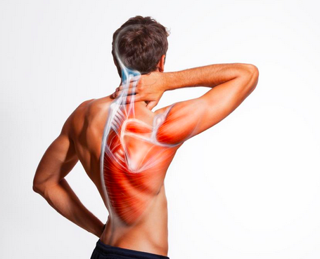 What is a muscle spasm? 