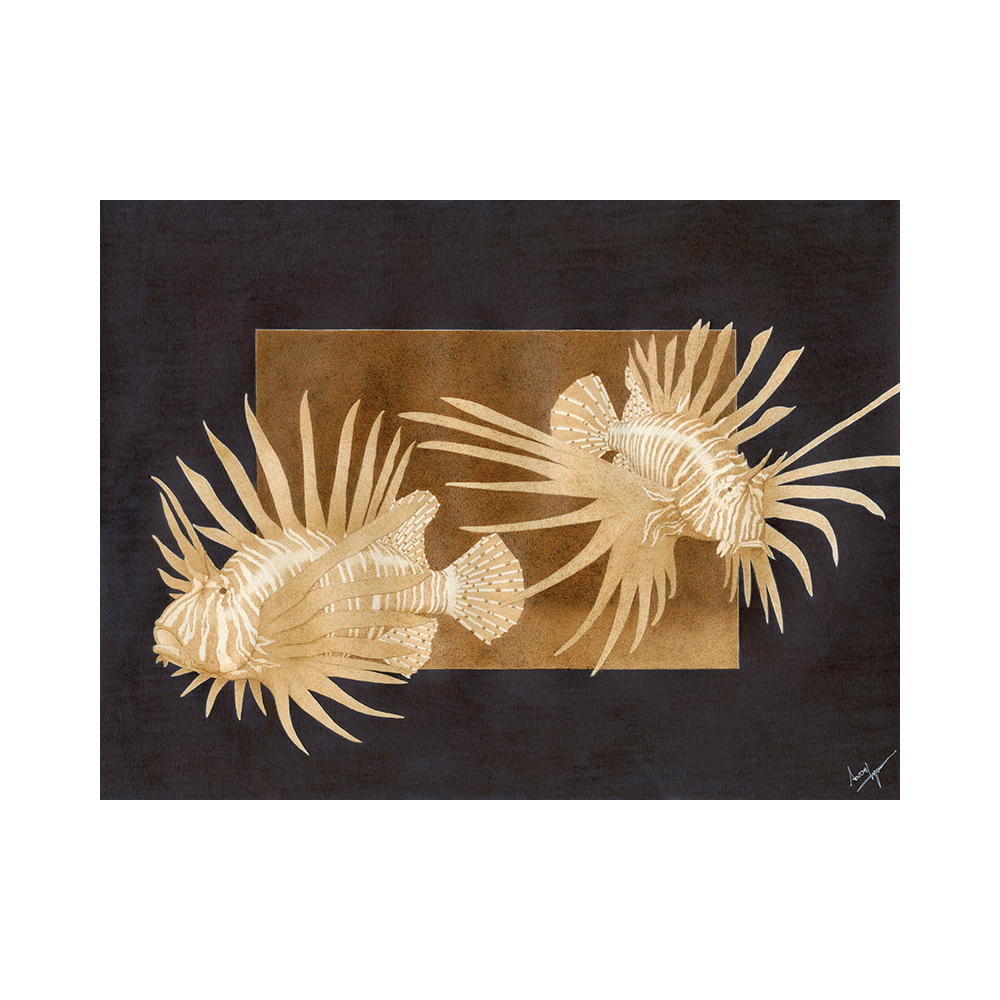 Lion’s View - Limited Fine Art Print