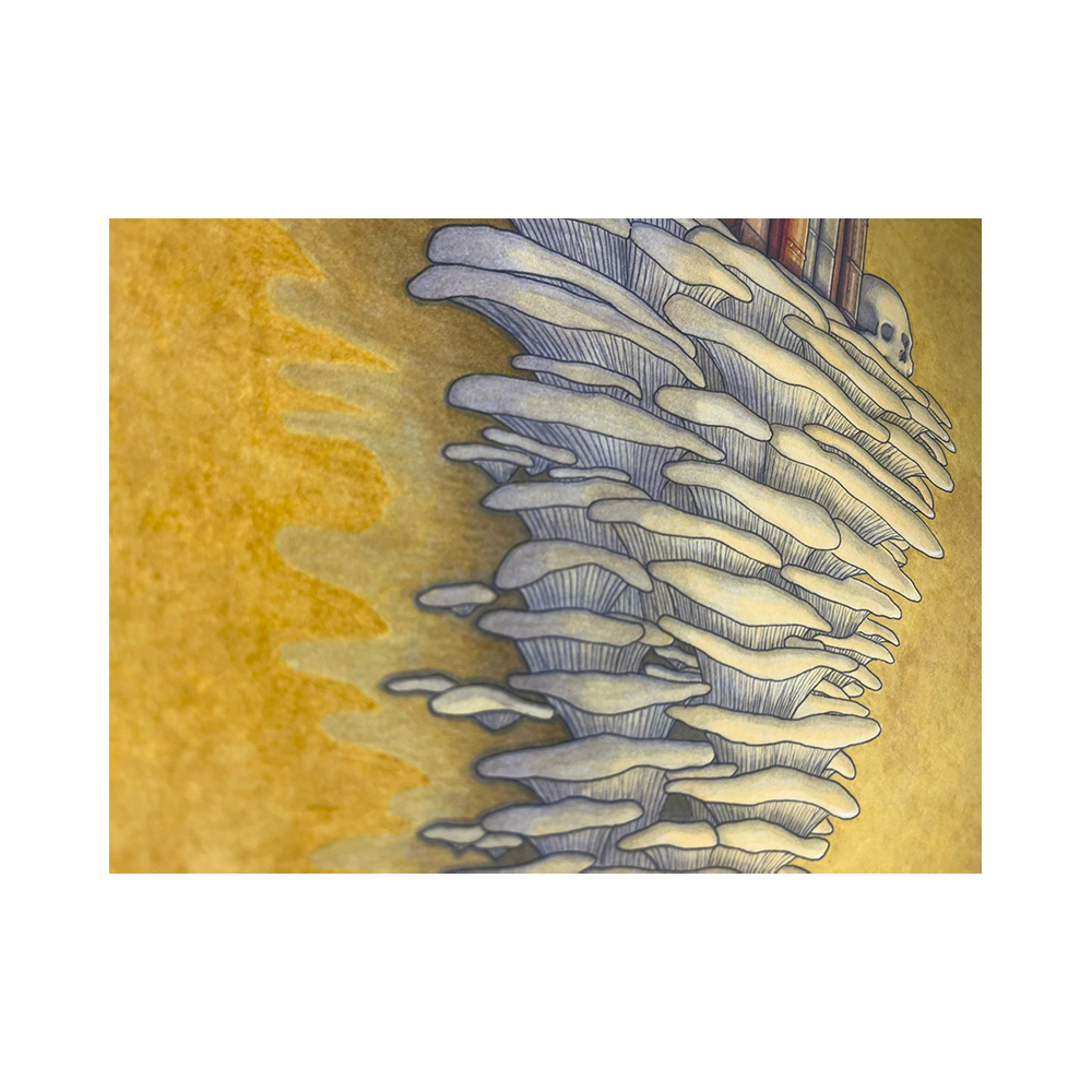 IMG_3578.png