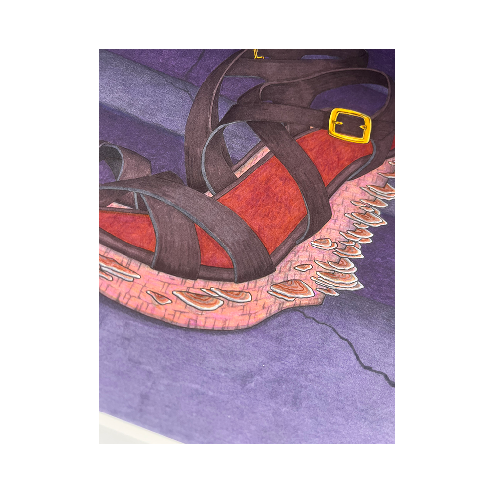 IMG_3606.png