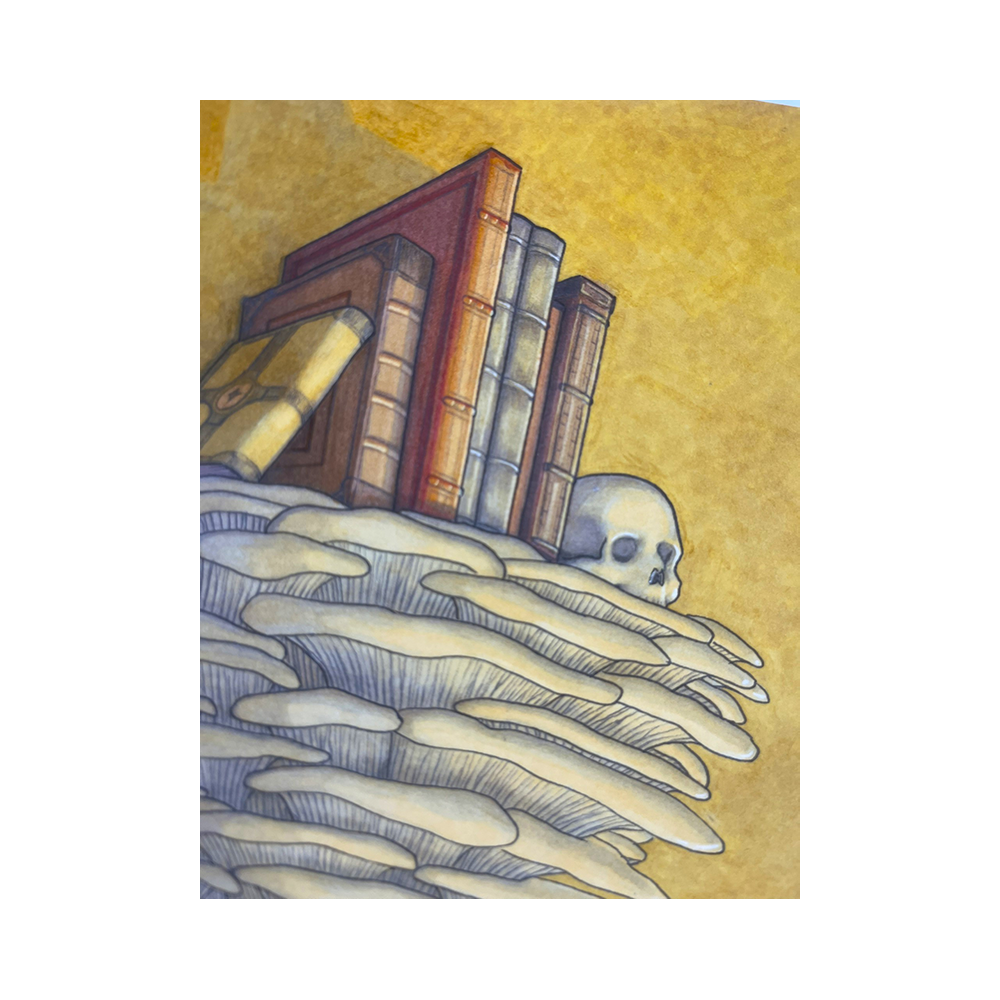 IMG_3574.png