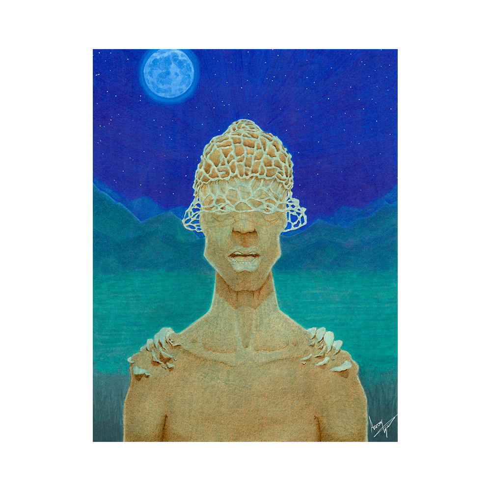Veiled Lady Web2.png
