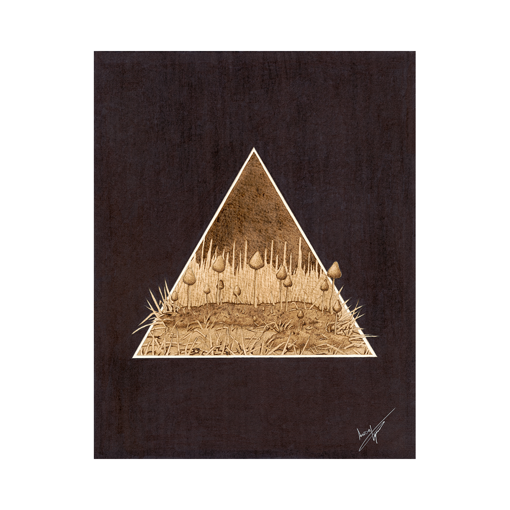 12. Liberty Caps web2.png