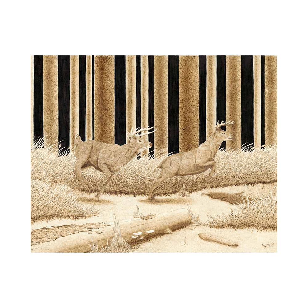 Pine Forest - Limited Fine Art Print