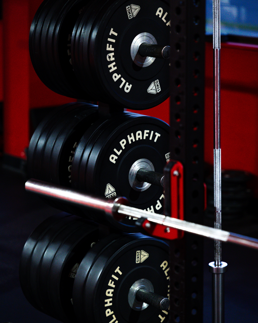 Three black ALPHAFIT bumper plates on a weightlifting rack with a barbell and safety catches.