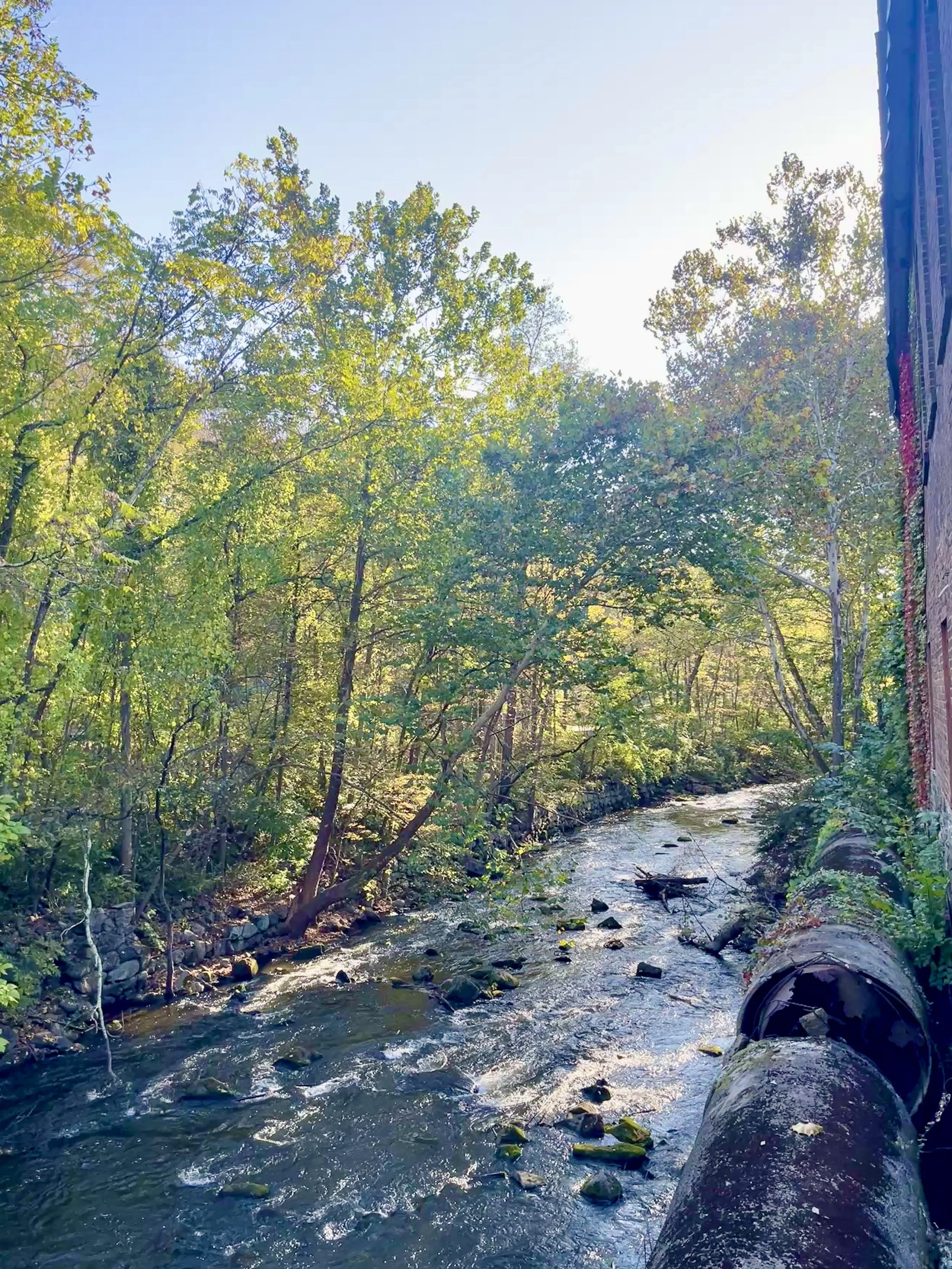 Plein Air Painting Workshop