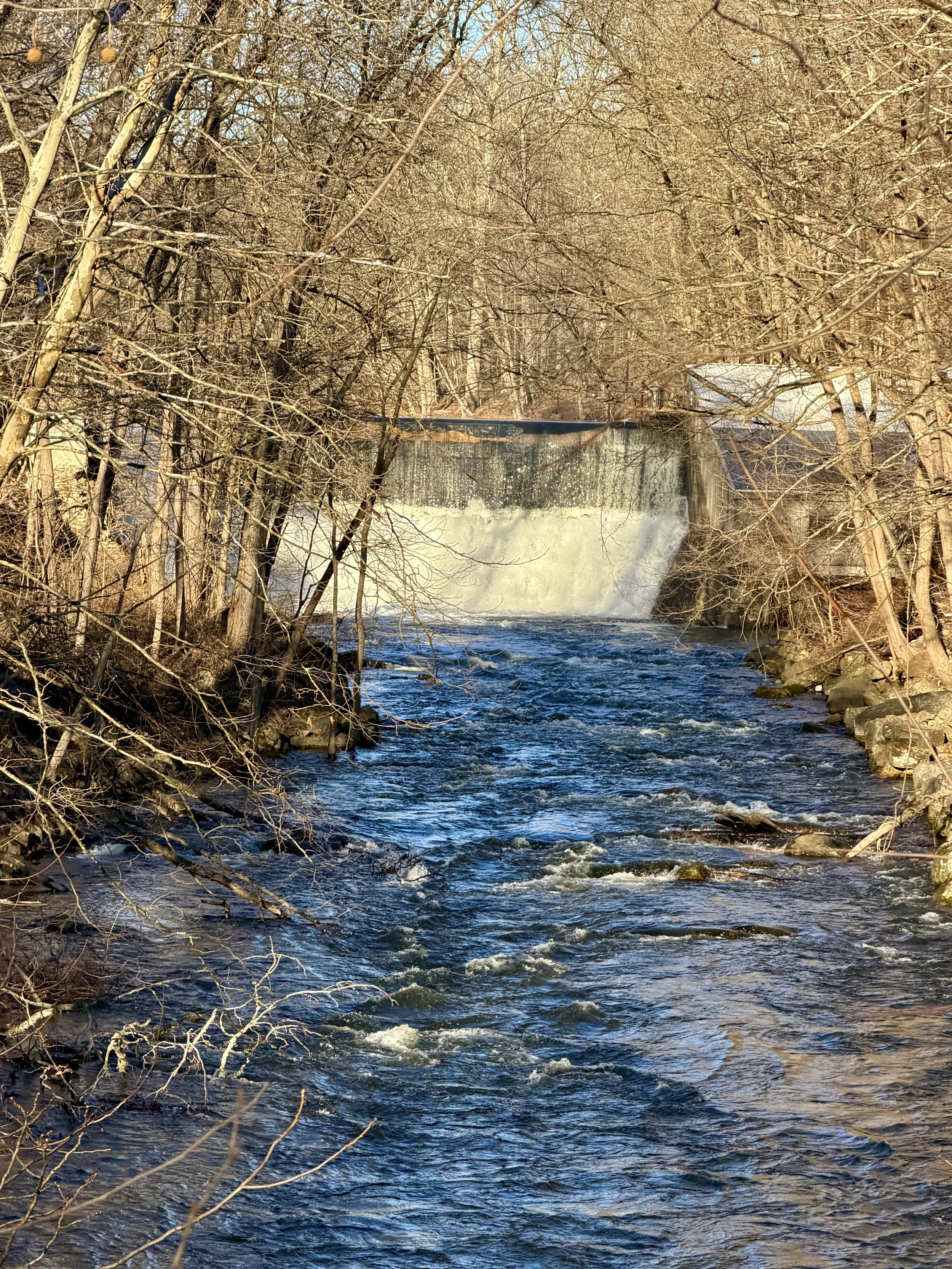 Plein Air Painting Workshop