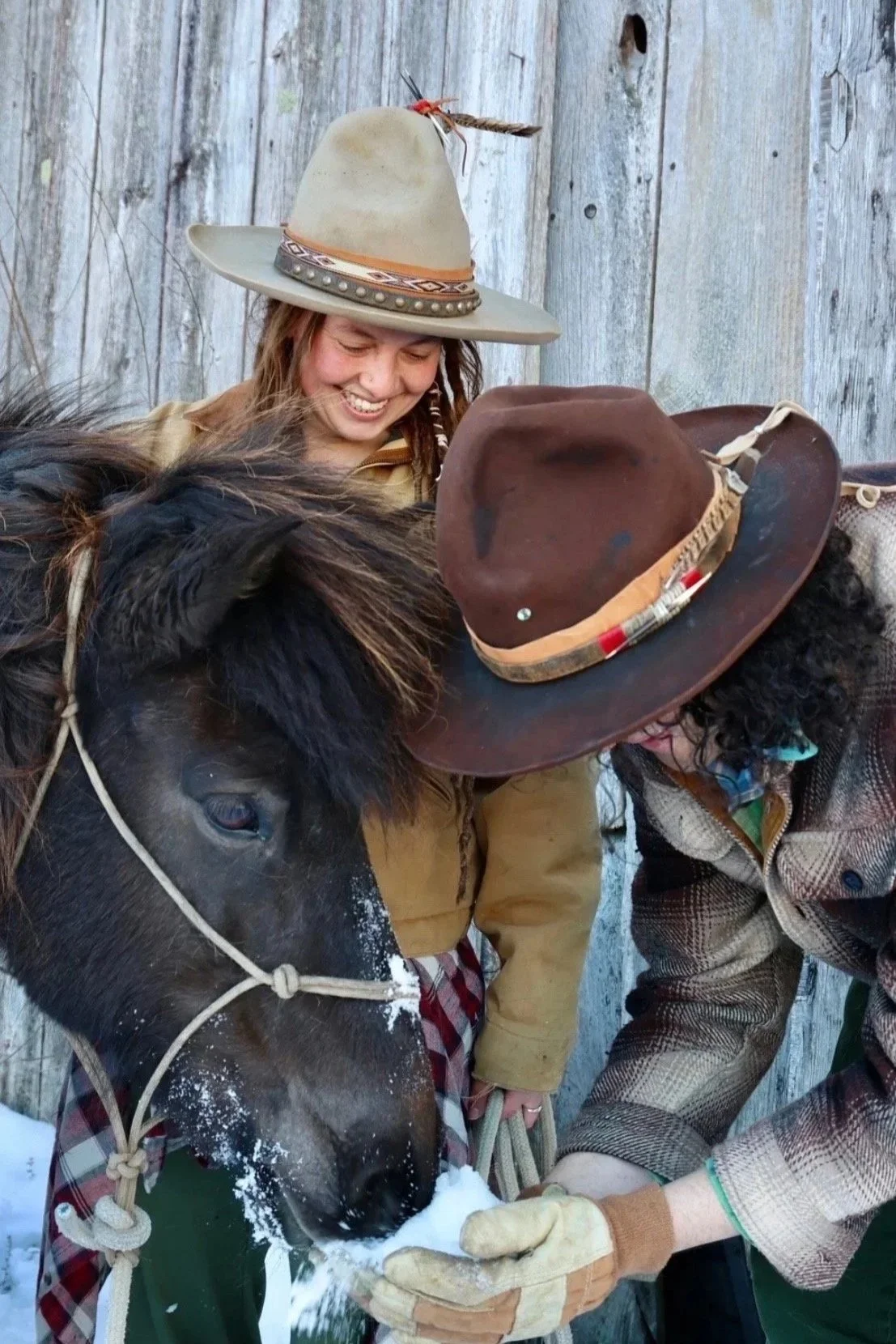 Joshua and Dakota's Cantina