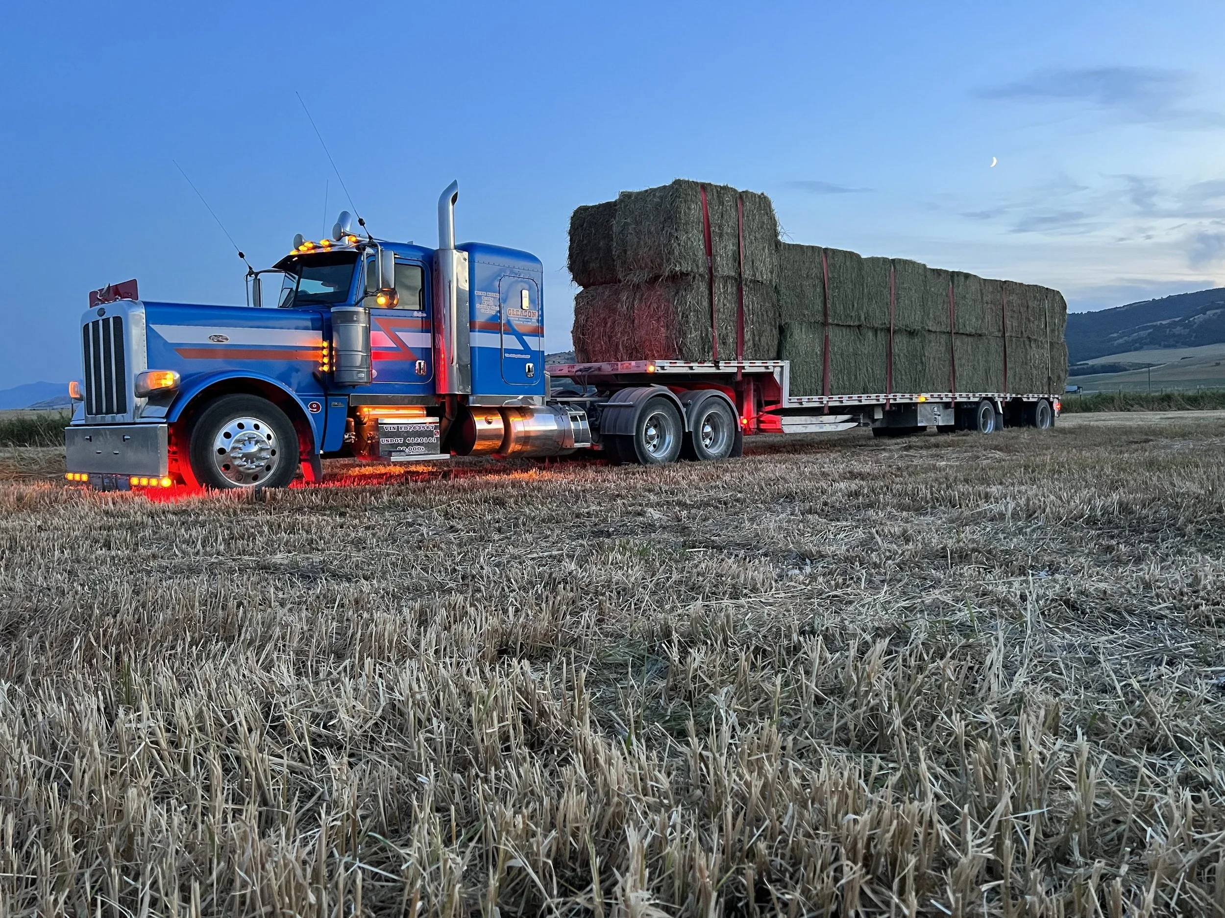 A blue semi-truck with white and red accents hauling large hay bales in an open field during dusk, with mountains and a crescent moon in the background.
