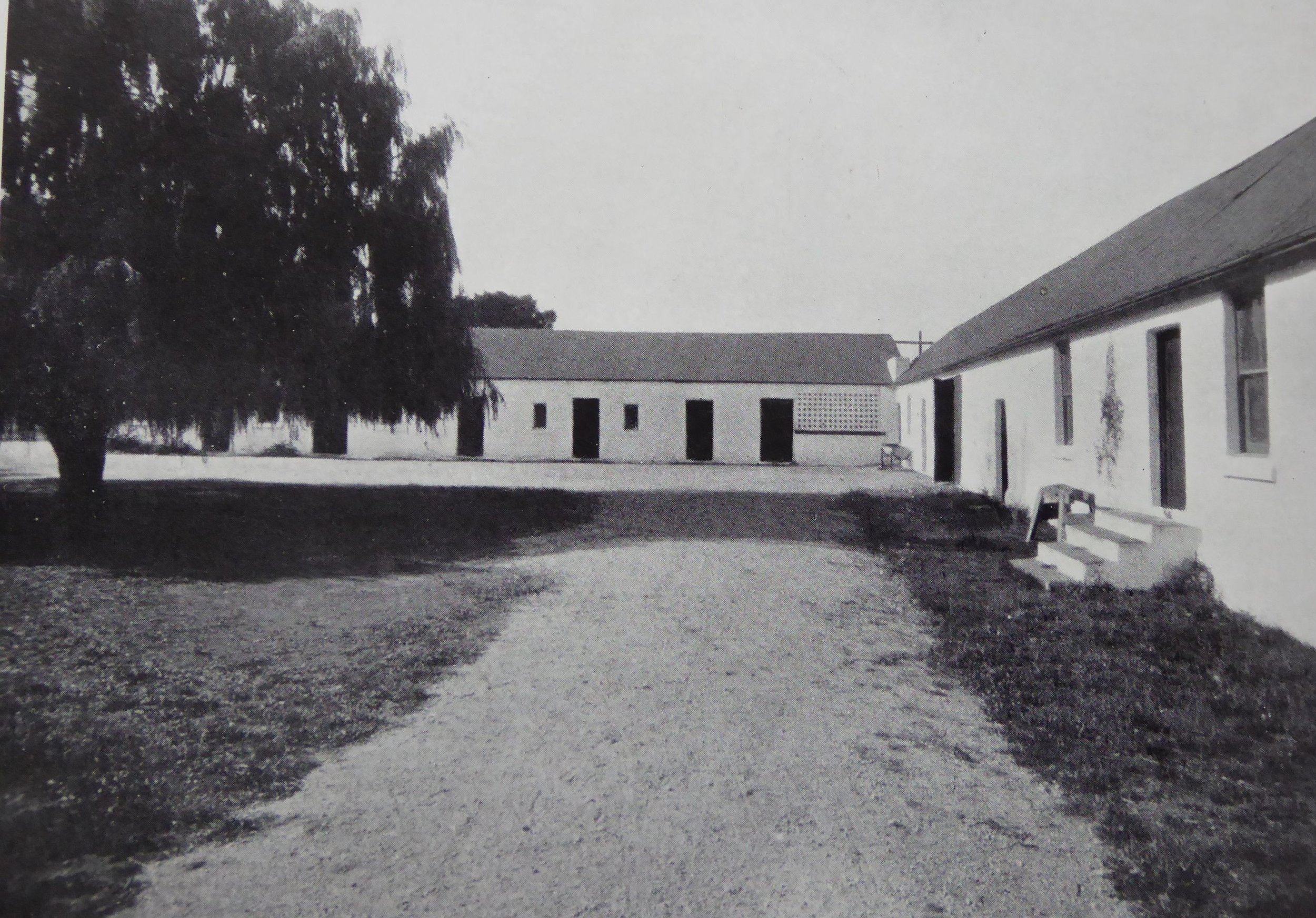 Historic black and white image of stables courtyard with a large tree on the left, surrounded by single-story buildings with doors and windows.