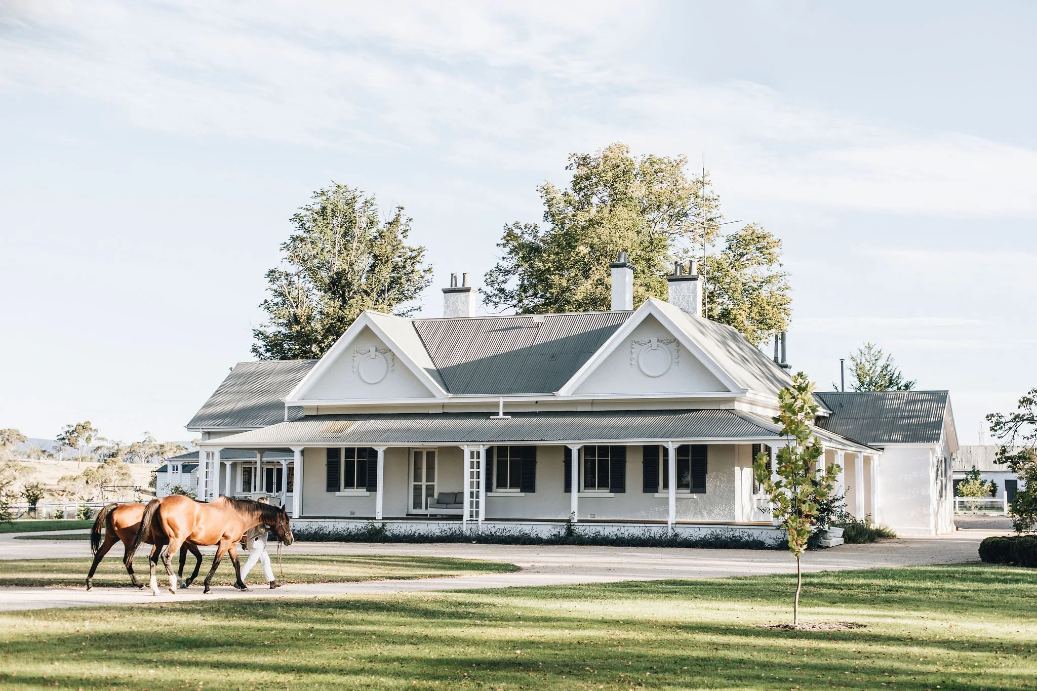 A white house with a porch, surrounded by green grass and trees. Two horses walk along a path with a person.