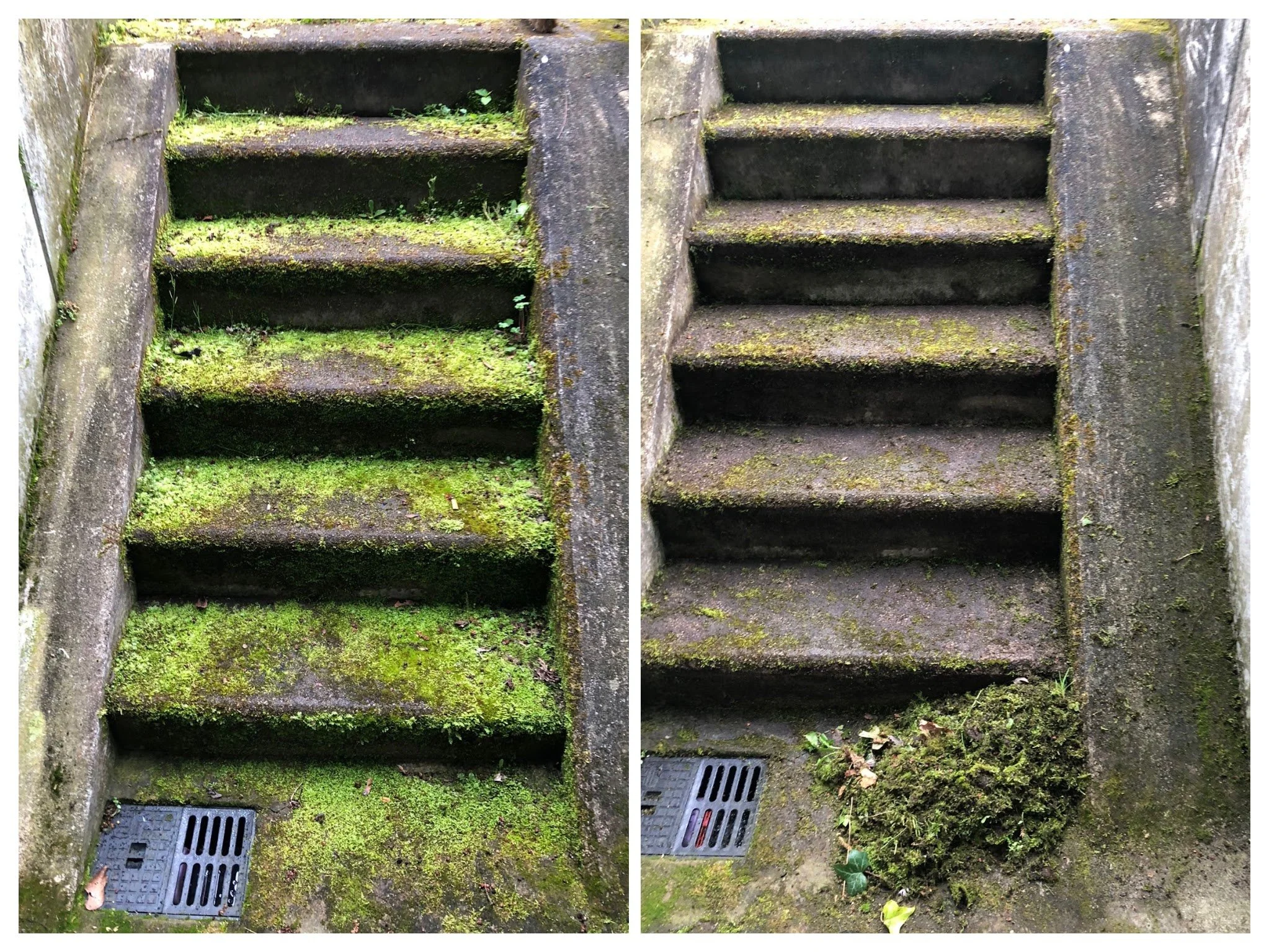 Vergleich zweier Treppen: links mit moosbedeckten, grünen Stufen, rechts gleiche Treppe ohne Moos, leicht verstaubt.