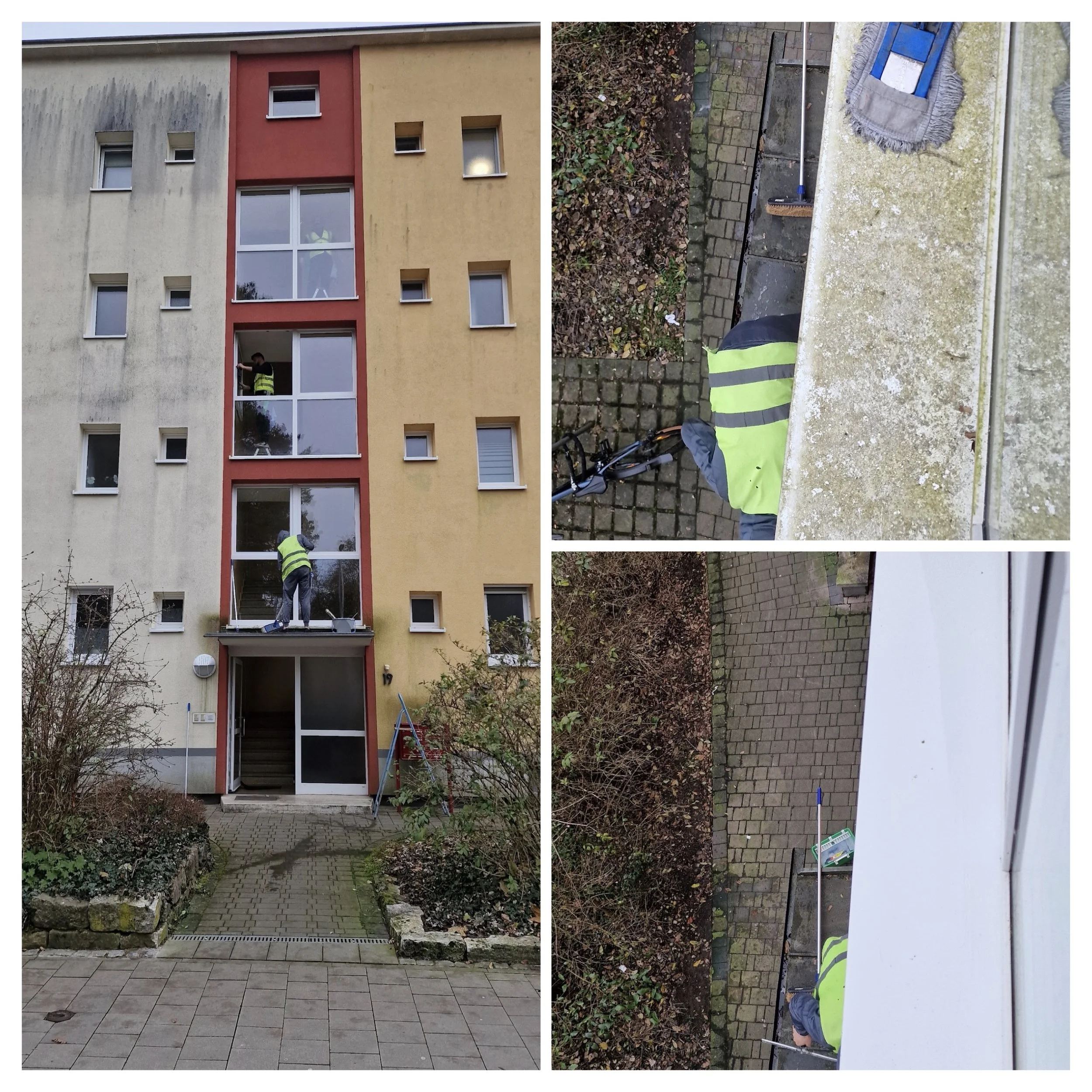 Menschen, die Fenster in einem mehrstöckigen Gebäude reinigen, während sie auf einem Gerüst stehen. Der Eingangsbereich des Gebäudes ist sichtbar, mit einem Weg und einem kleinen Garten davor.