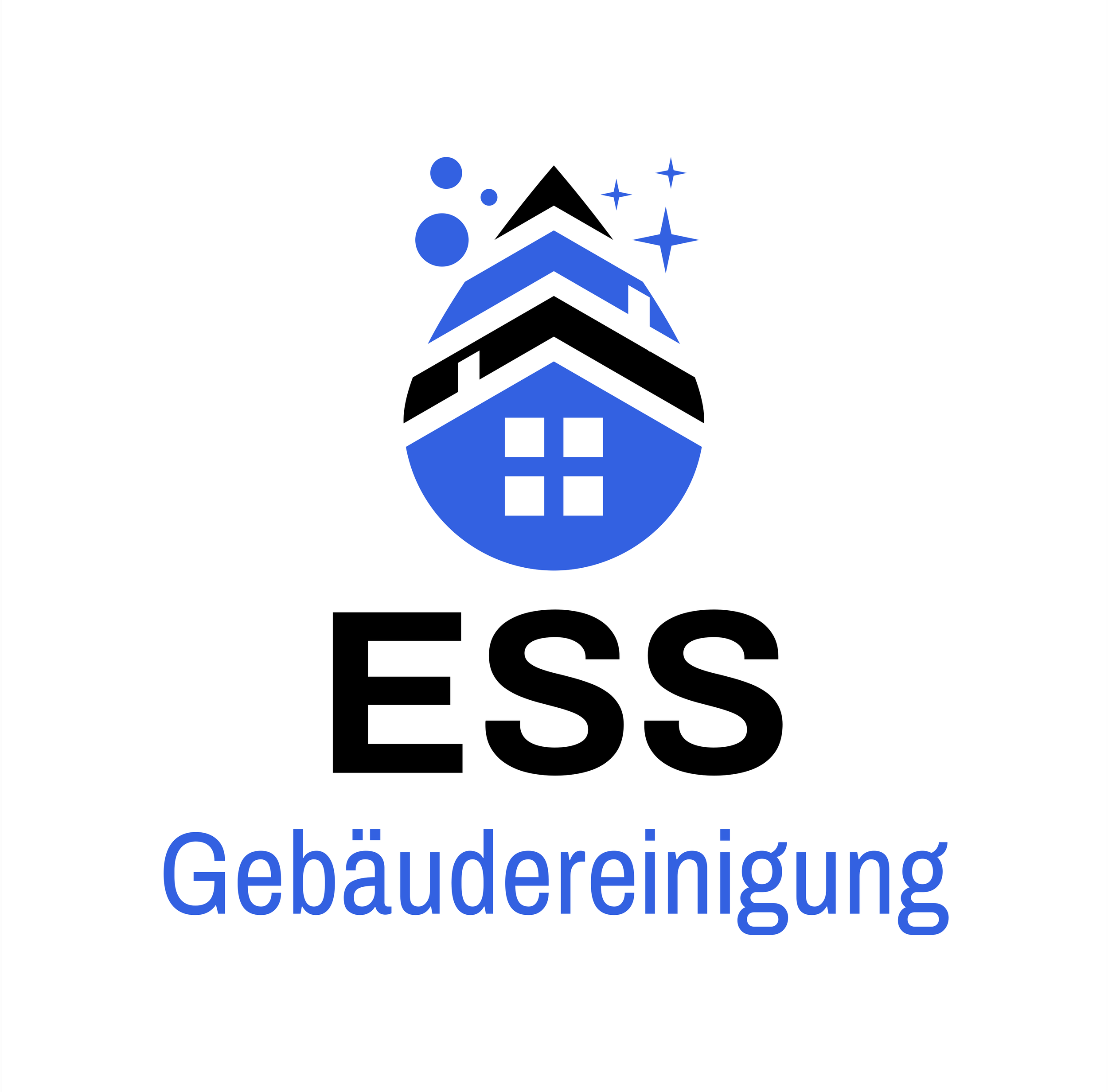 Logo der Gebäudereinigungsfirma ESS, bestehend aus stilisiertem Haus in Blau und Schwarz mit funkelnden Sternen und Blasen, mit dem Schriftzug 'ESS Gebäudereinigung' darunter.