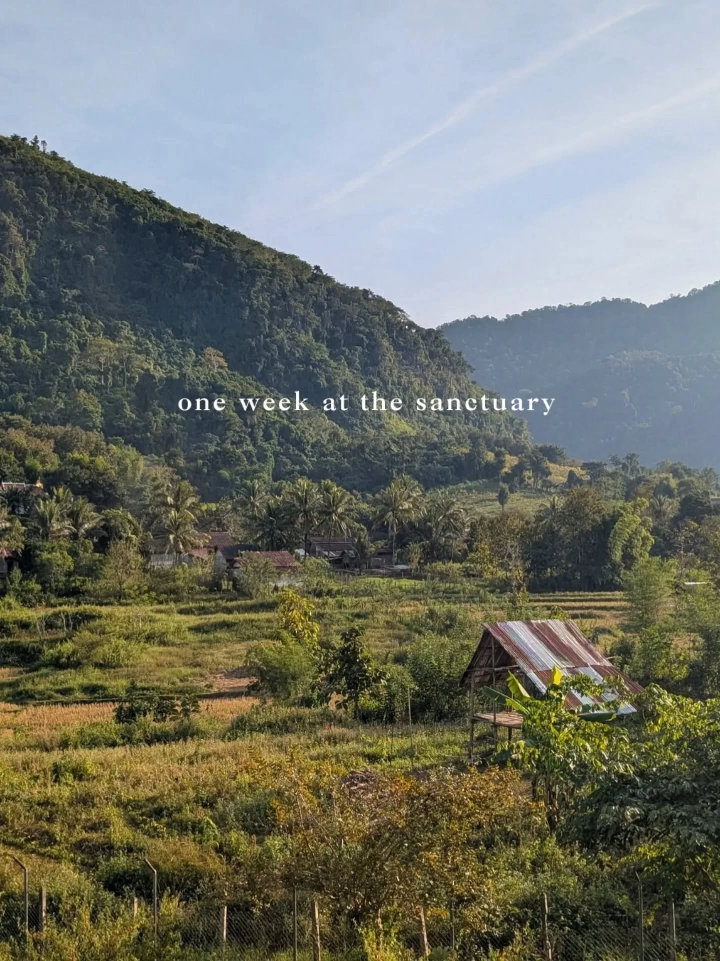 My camera roll is FULL. 

#wildlifeconservation #sanctuary #womeninwildlife