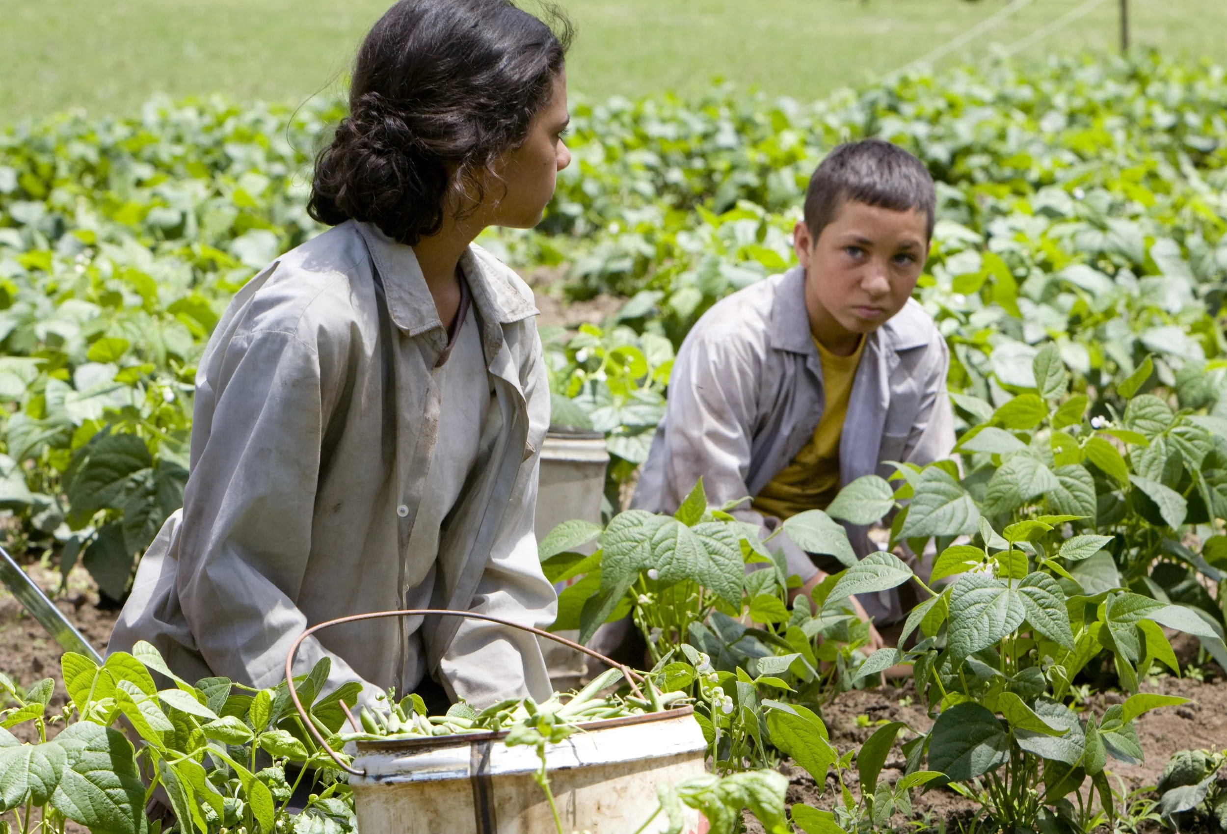 A woman and a boy working in a green bean field, wearing work clothes, with plants and soil around them.
