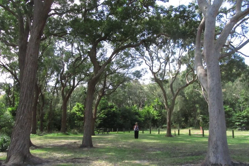 A person standing in a park with large trees and a picnic table in the background.